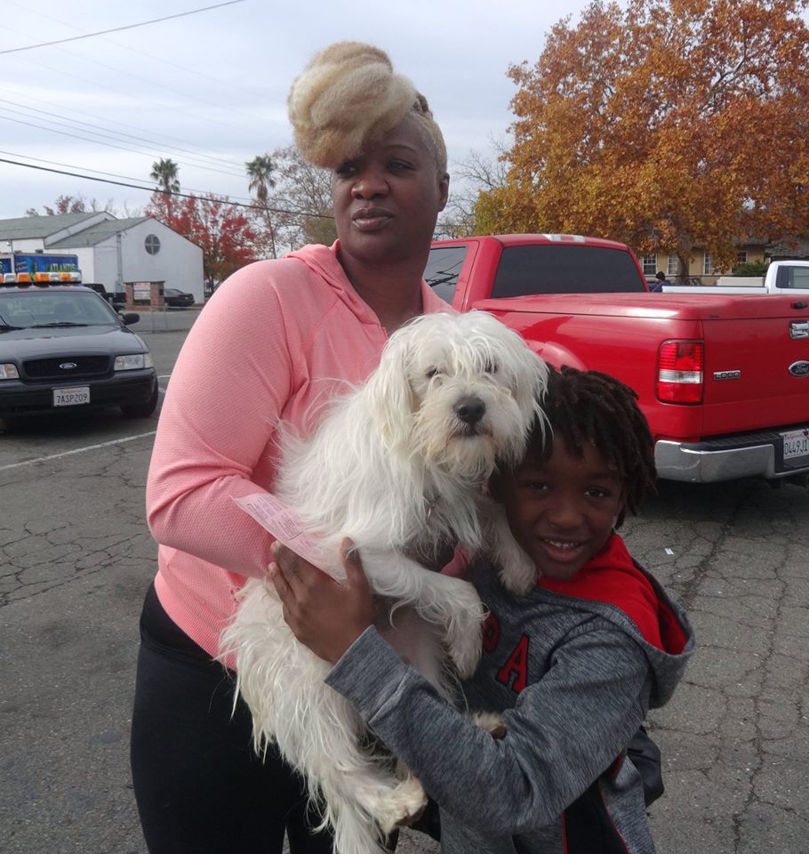 low cost puppy low cost vaccination clinic vaccinations puppy pdf low cost puppy low cost vaccination clinic vaccinations puppy pdf