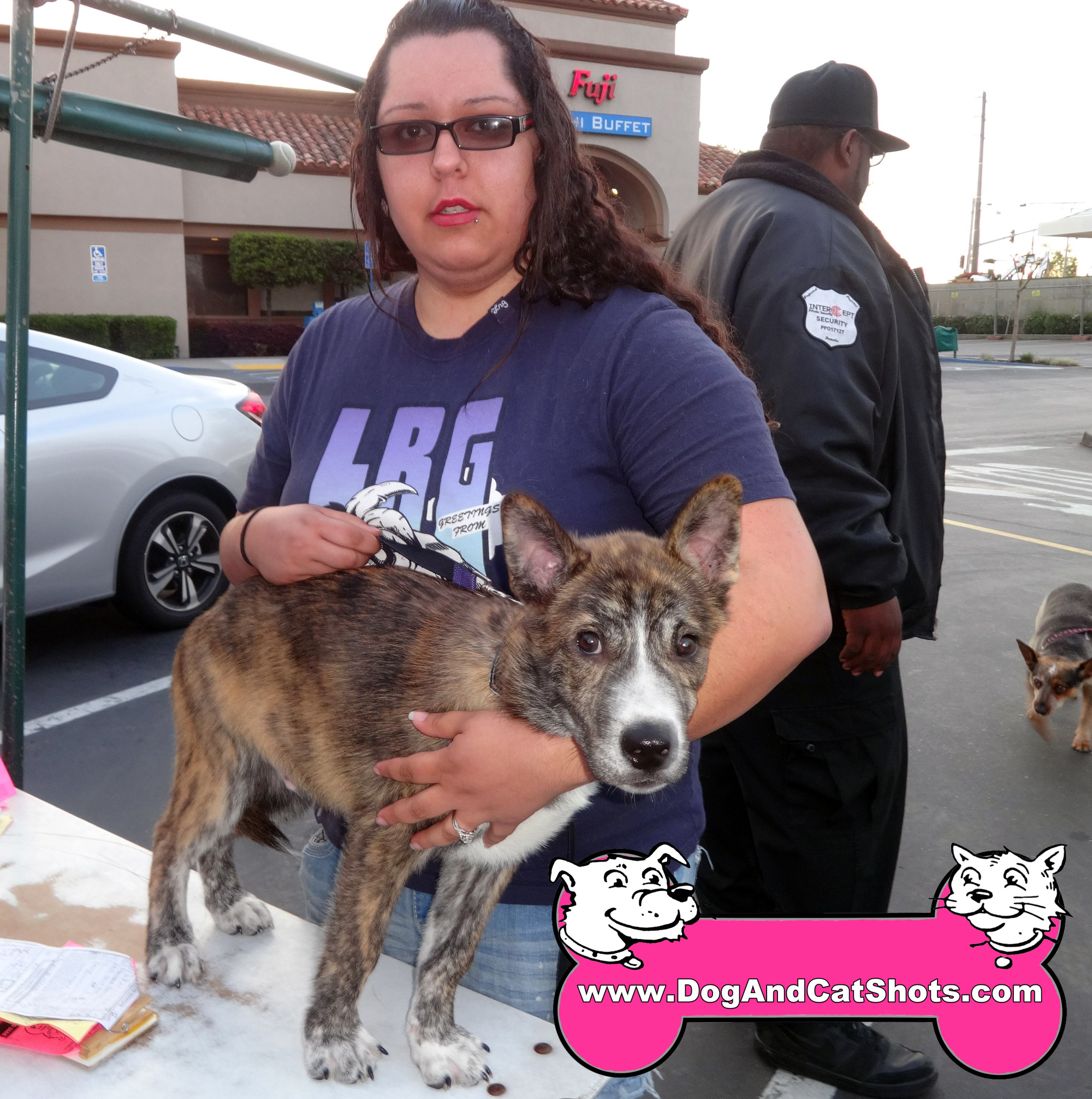 second set of for puppies low cost and cat in northern california bronx the shepard gets his second set of for puppies low cost and cat in northern california bronx the shepard gets his