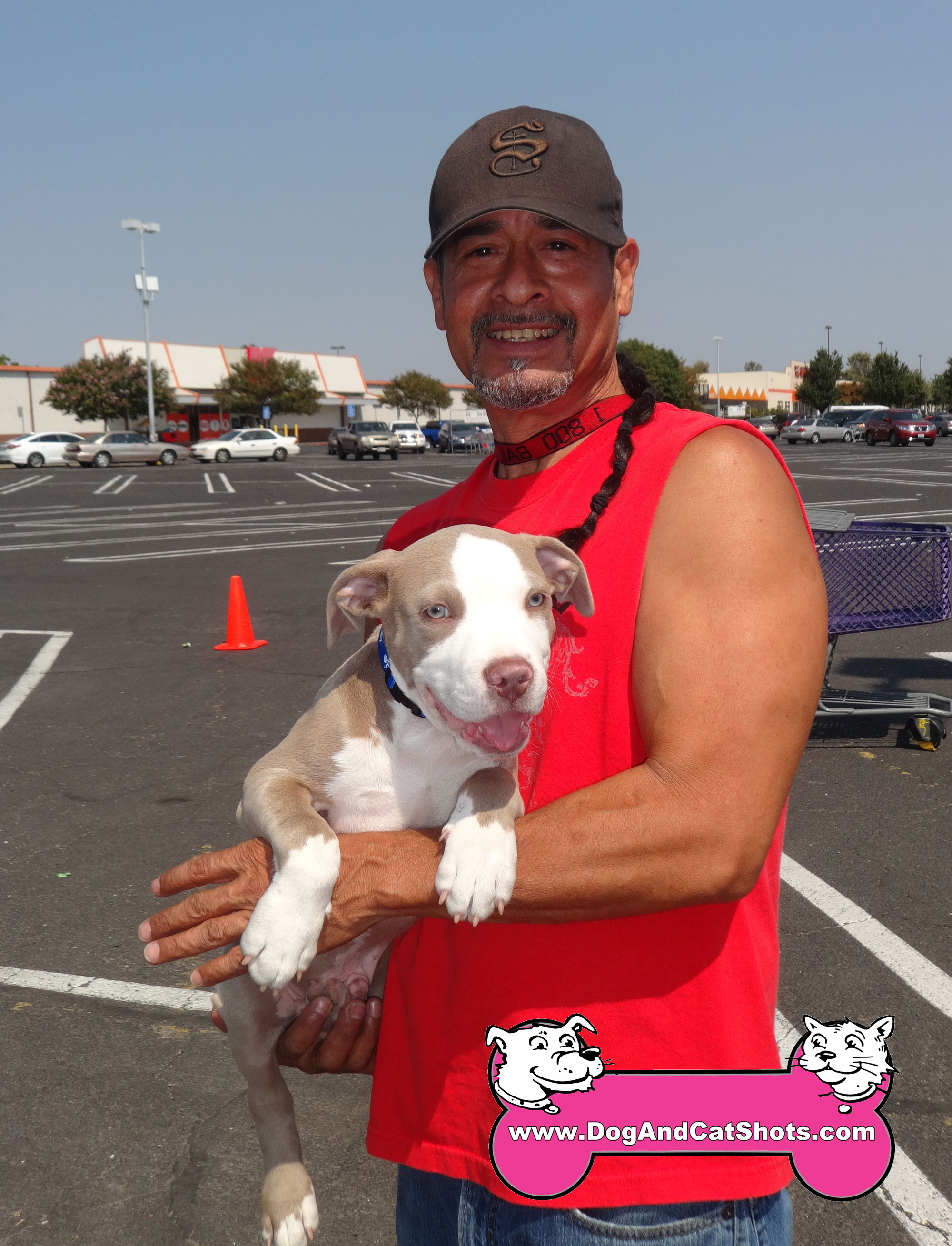 Dog Training Degree California Dog Training Degree California