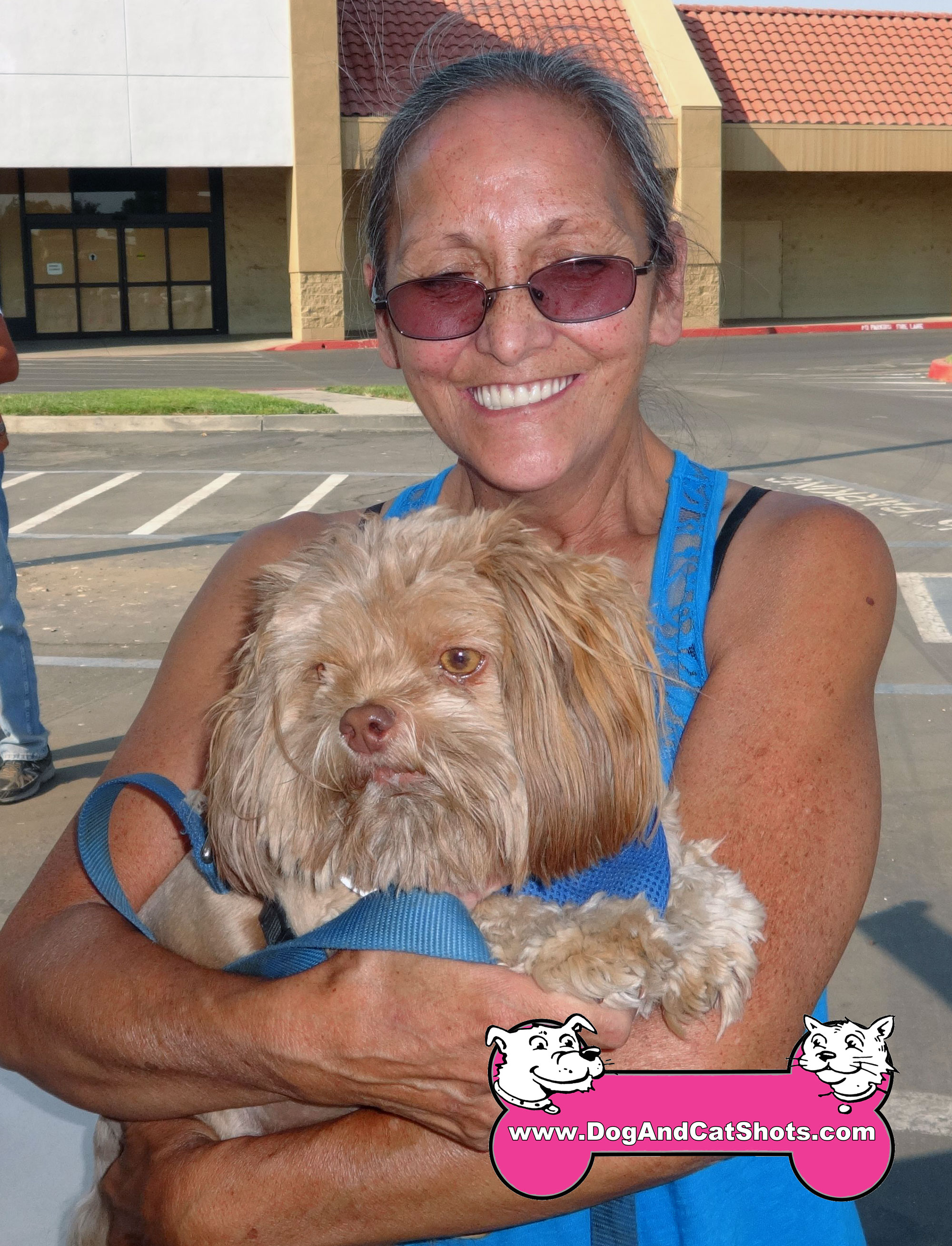 havanese northern california low cost and cat in northern california einstein the havanese came to our havanese northern california low cost and cat in northern california einstein the havanese came to our