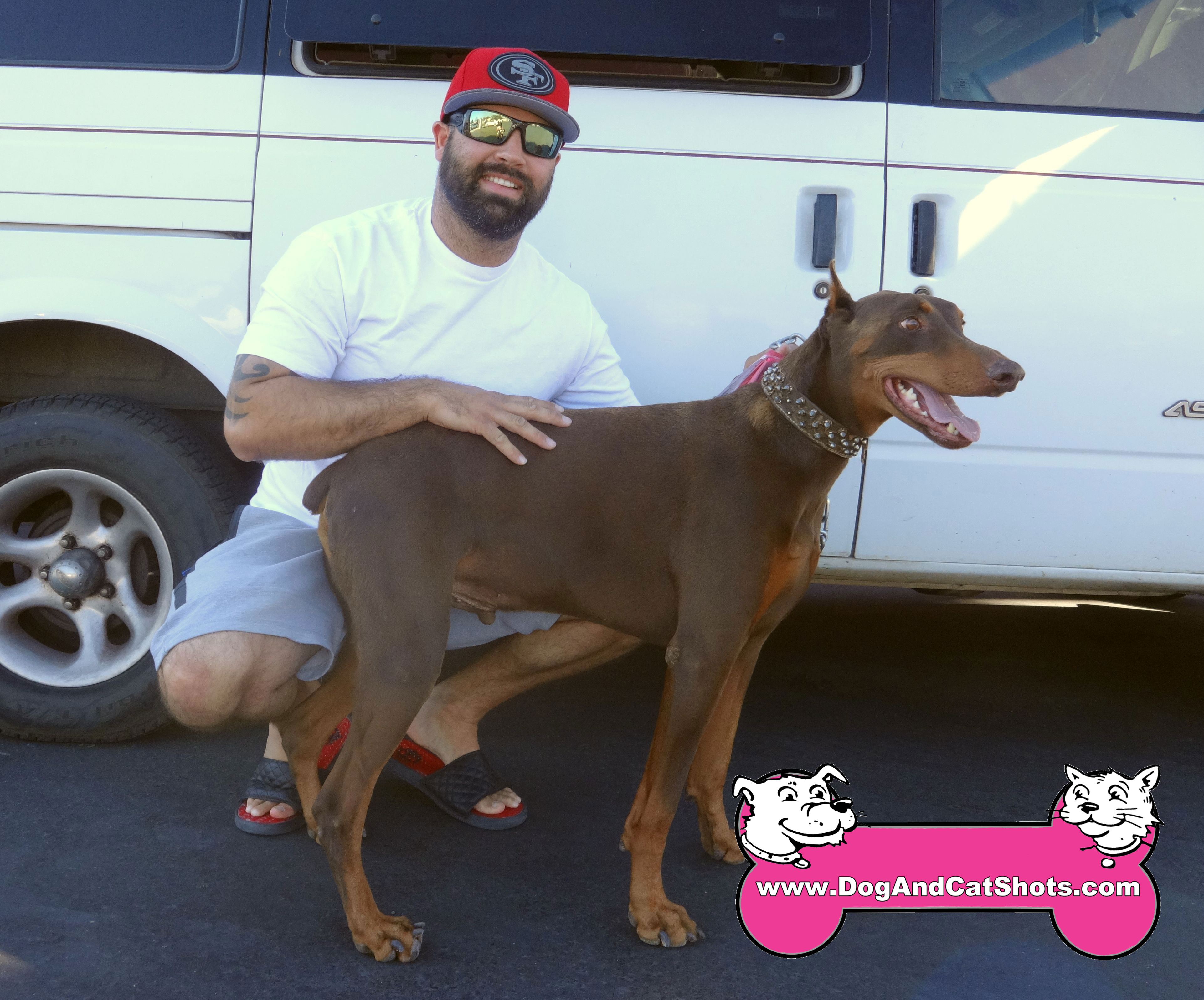 low cost dog and cat shots in northern california at our tracy