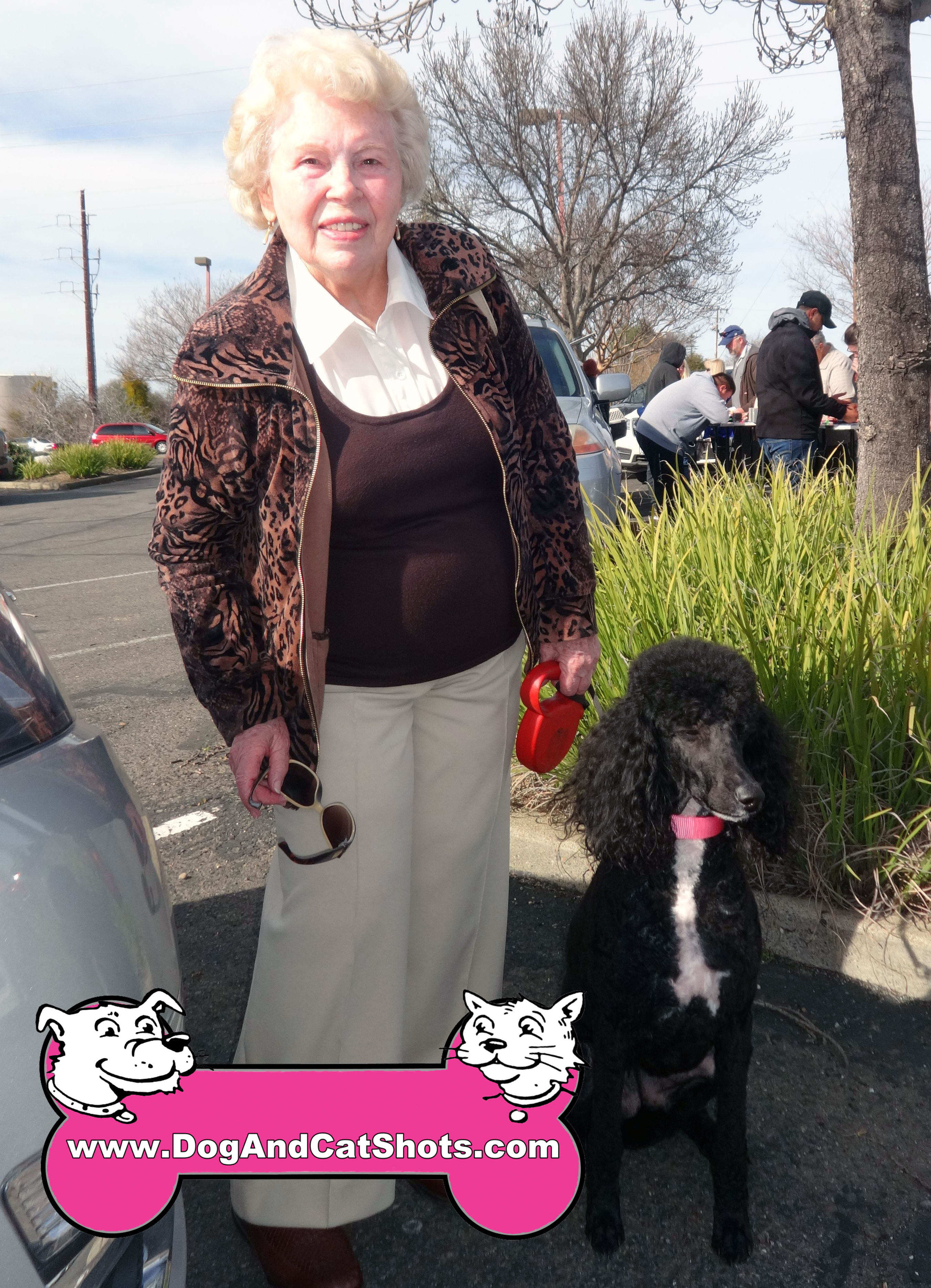 Dog Grooming Roseville California Dog Grooming Roseville California