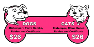 Dog and Cat Shots as low as $26.00