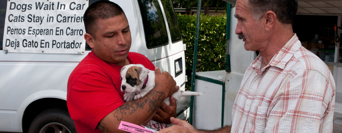 low_cost_dog_and_cat_shots_central_valley