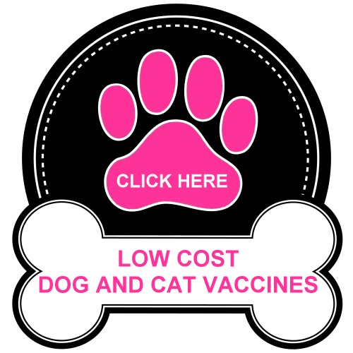 northern_california_dog_and_cat_vaccines500