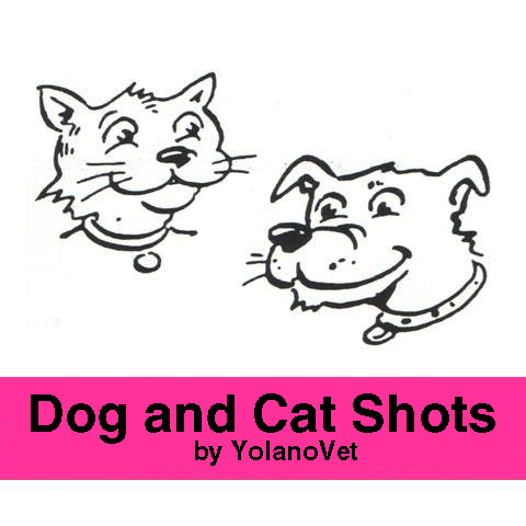 Low Cost Dog and Cat Shots in Northern California Young Toby The