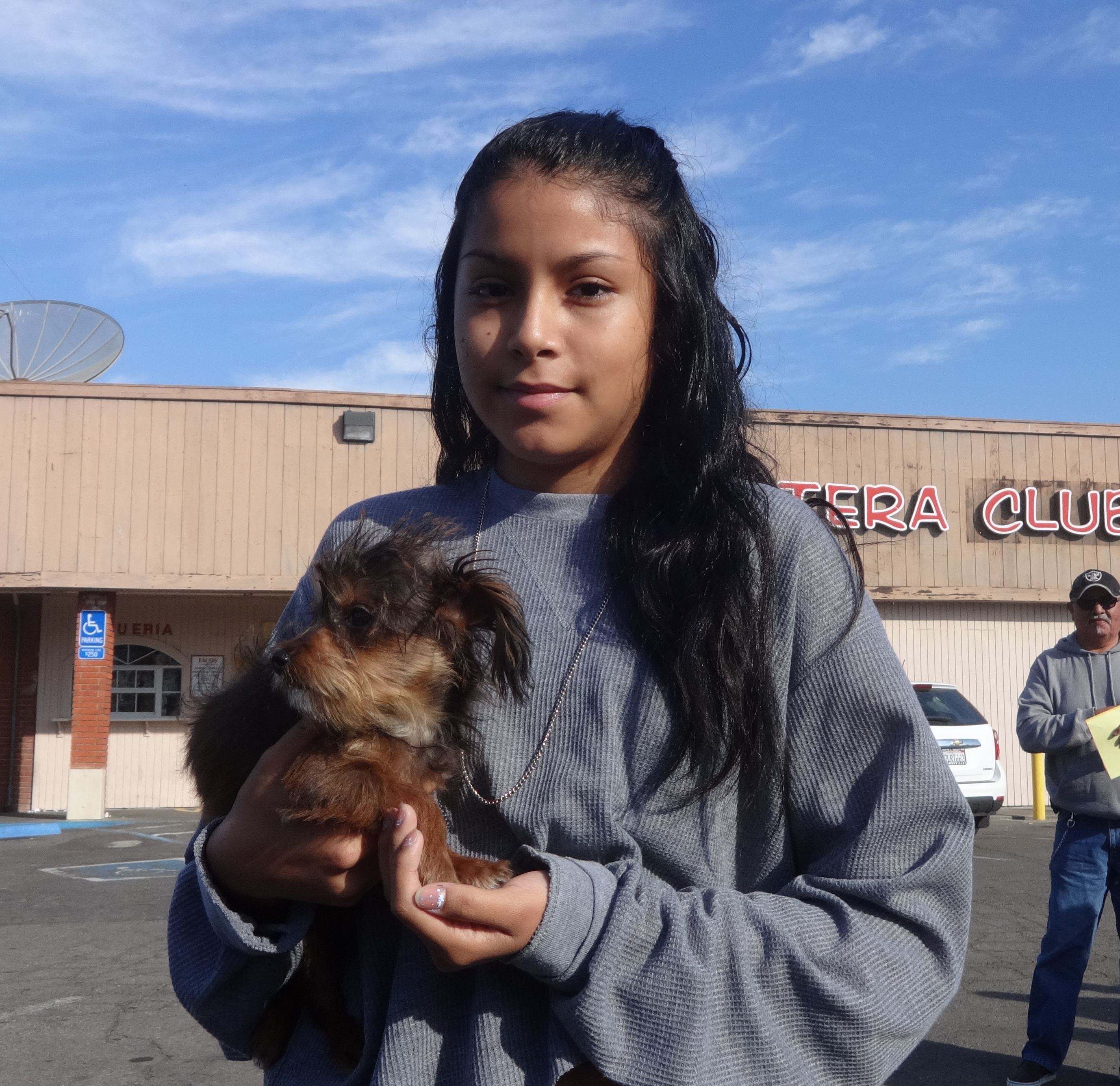 Low Cost Dog and Cat Shots in Northern California dog and cat