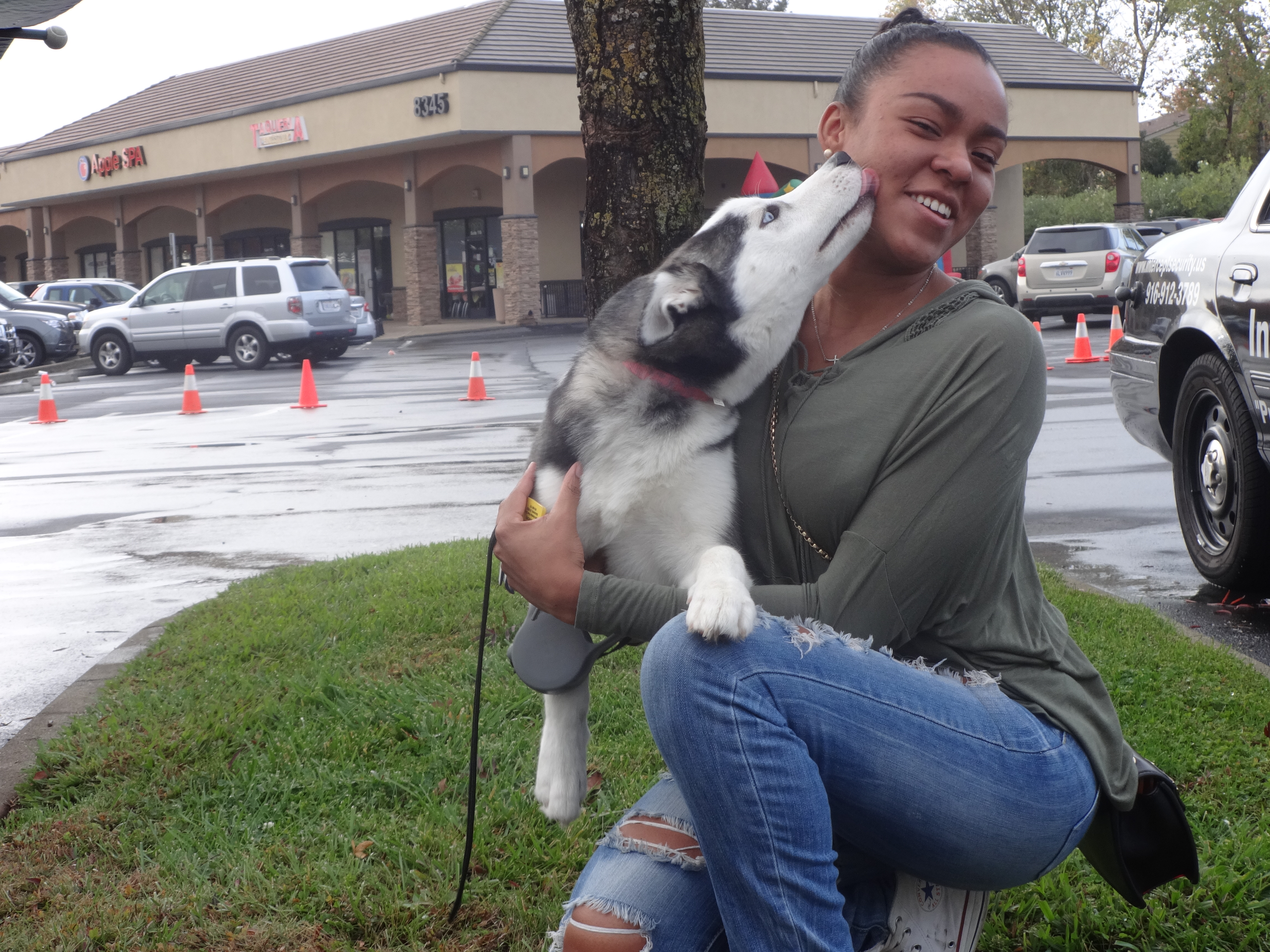 Low Cost Dog and Cat Shots in Northern California Siberian ...