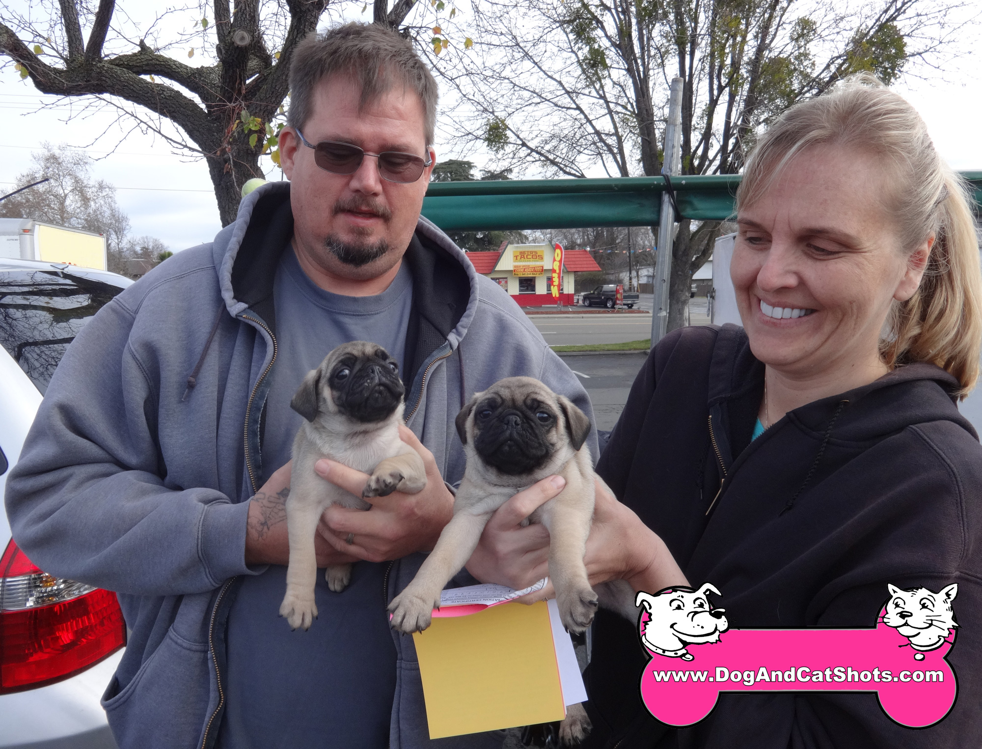 How Do You Give Puppies Their First Shots