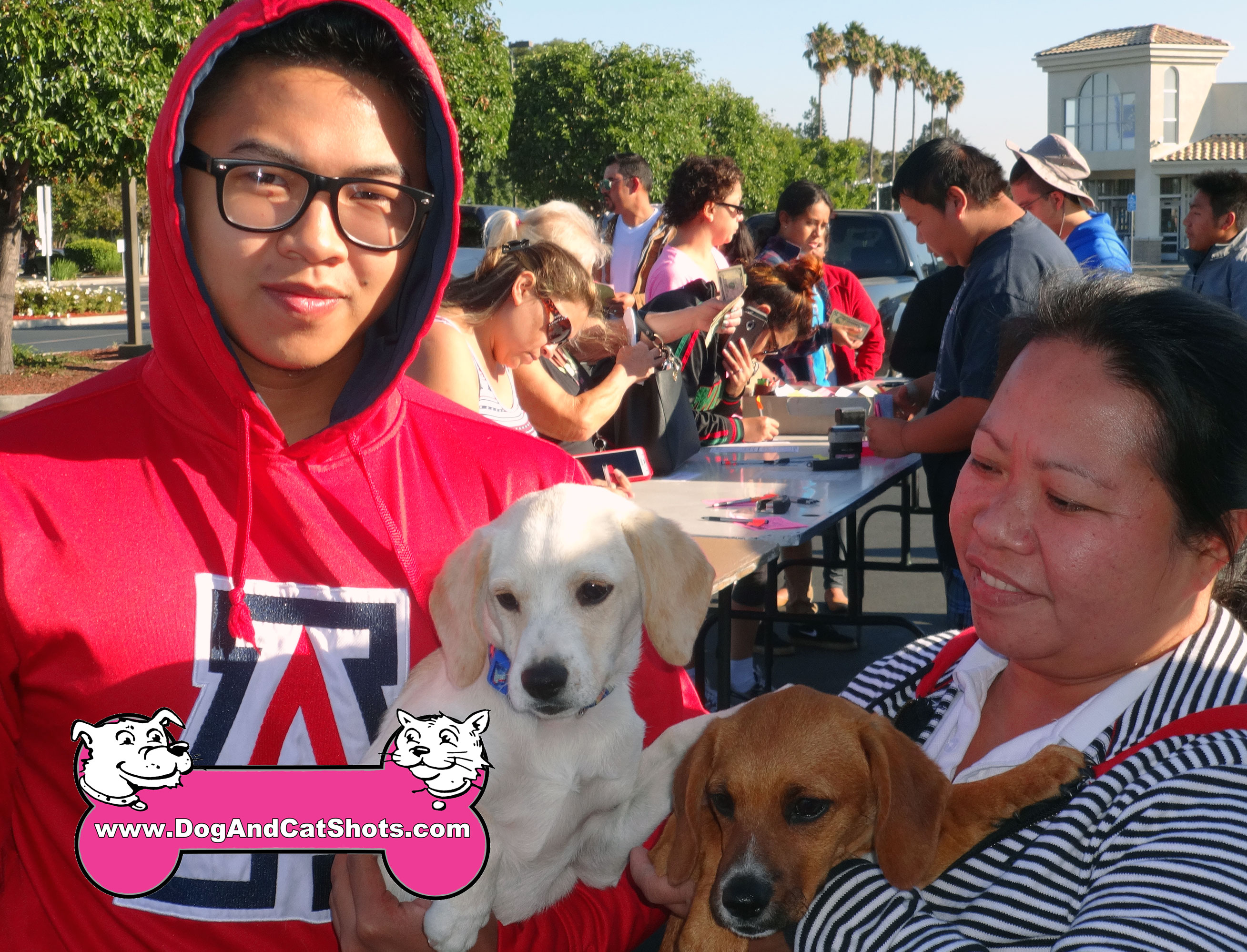 golden retriever vaccination cost low cost and cat in northern california golden retriever archives low cost golden retriever vaccination cost low cost and cat in northern california golden retriever archives low cost