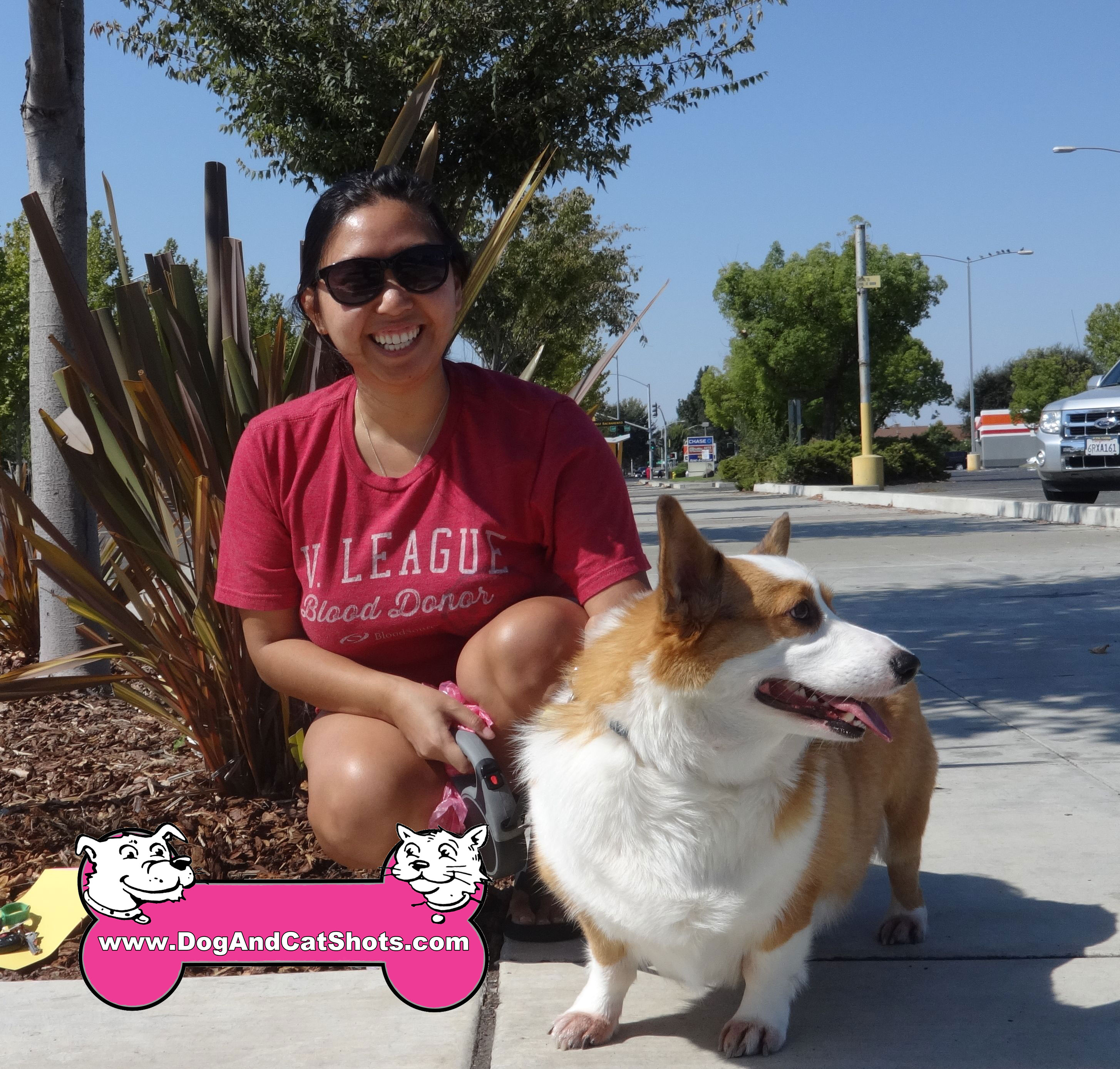 corgi puppies sacramento low cost and cat in northern california corgi archives low cost and corgi puppies sacramento low cost and cat in northern california corgi archives low cost and