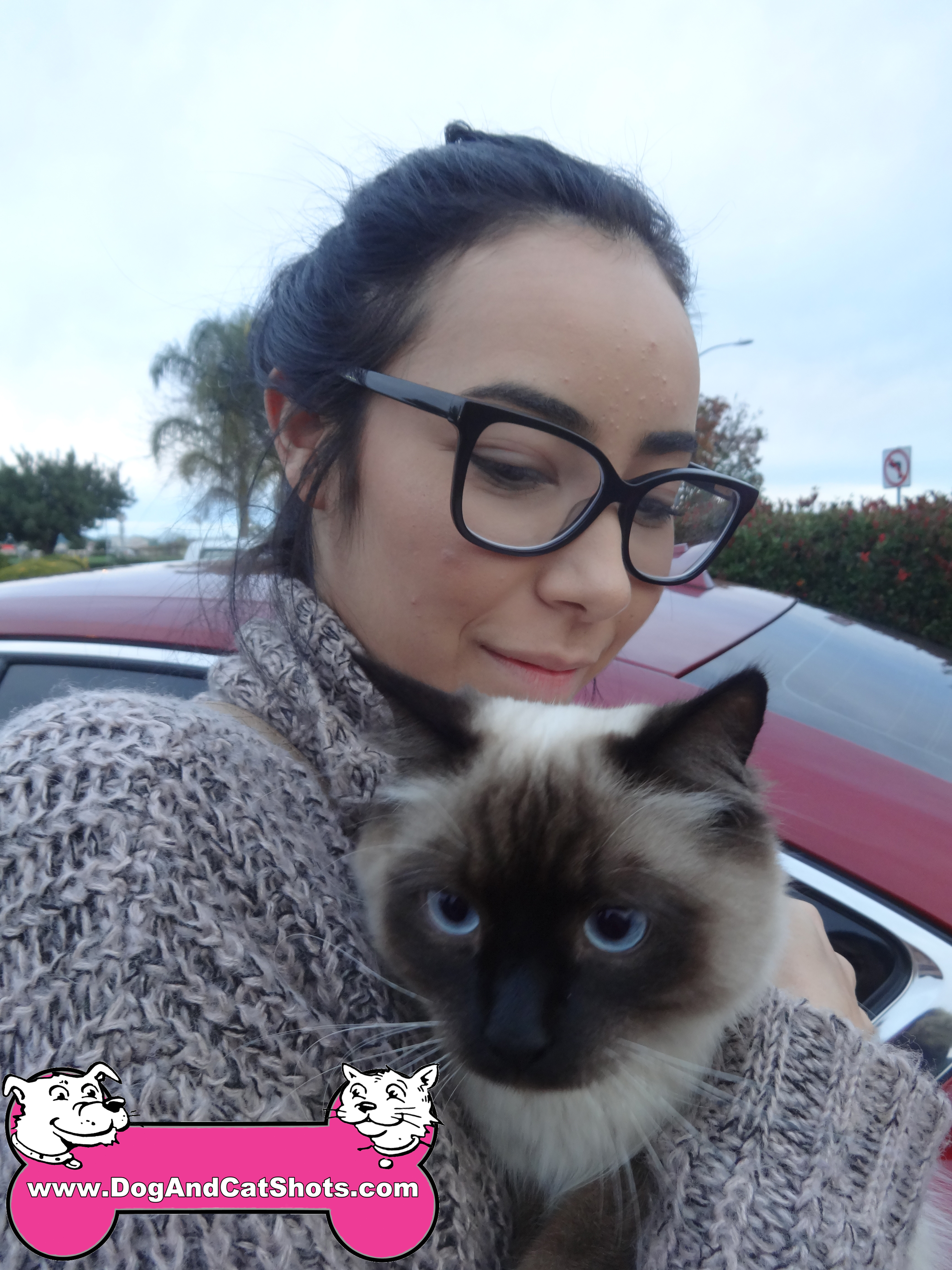 Low Cost Dog and Cat Shots in Northern California We saw ...