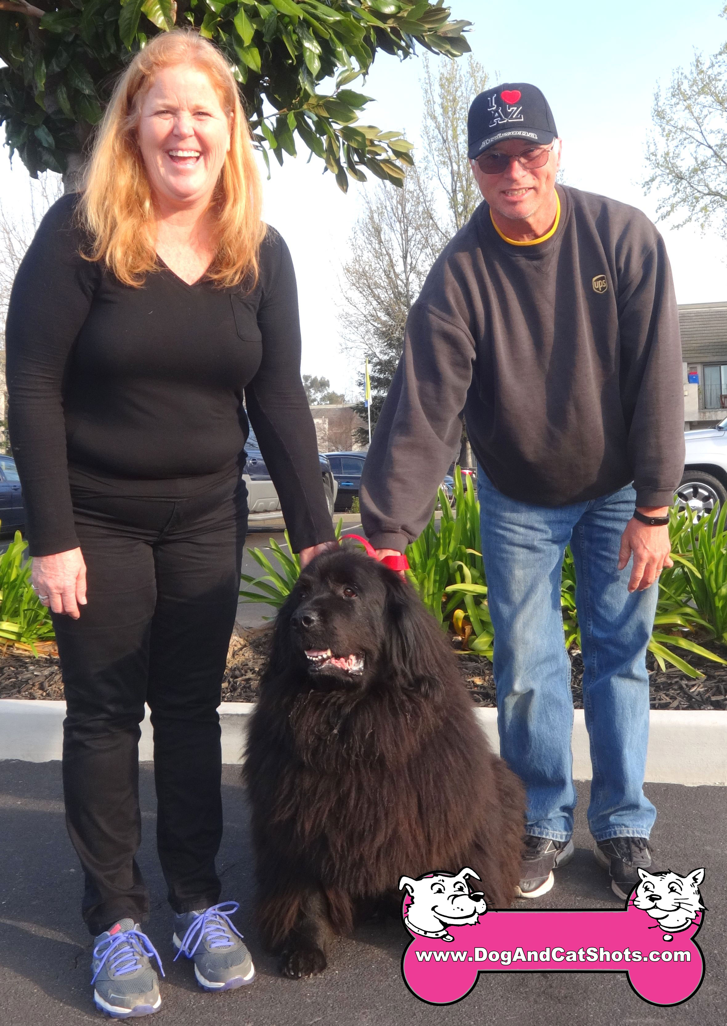 Low Cost Dog and Cat Shots in Northern California ...