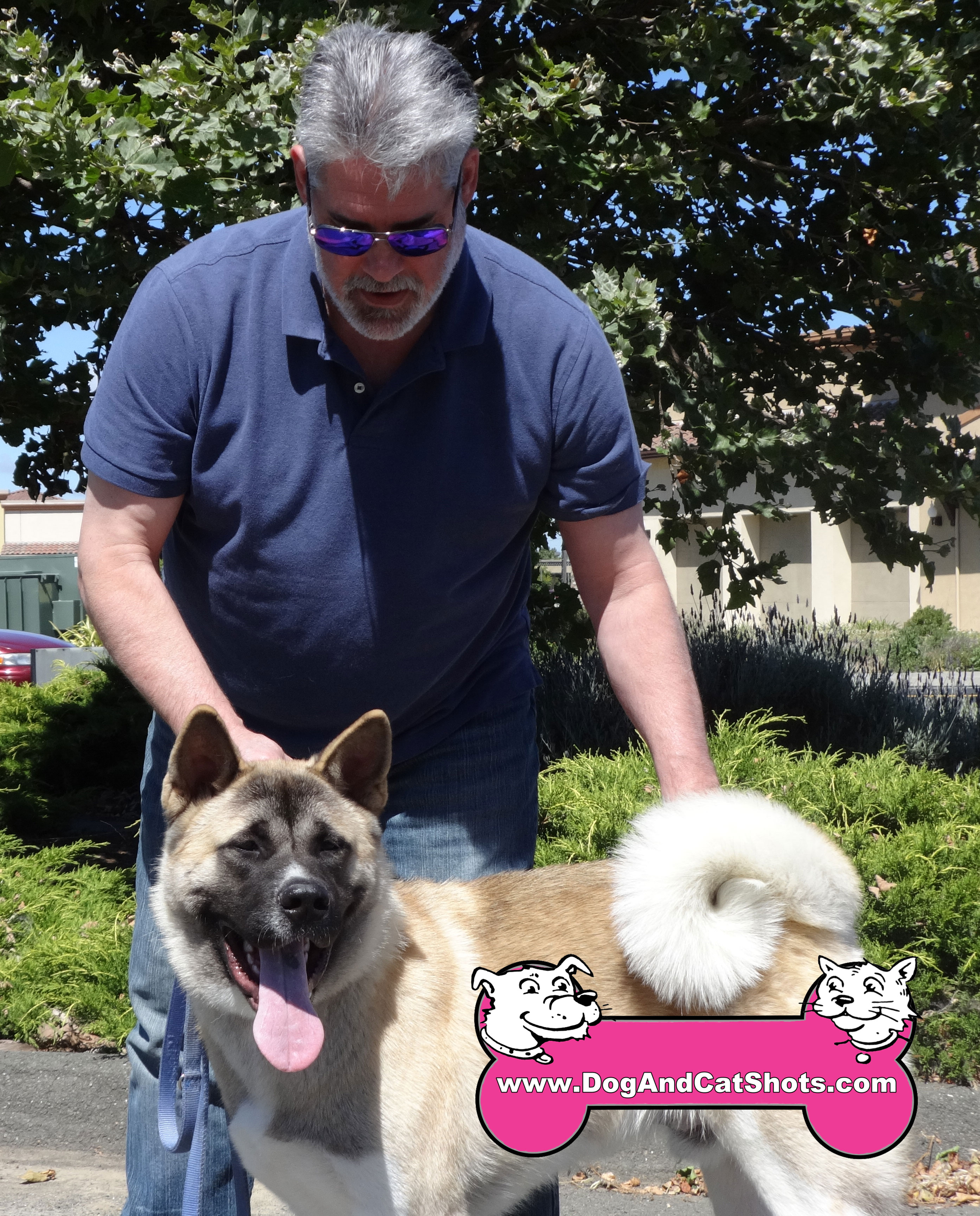 Black sales canyon akitas