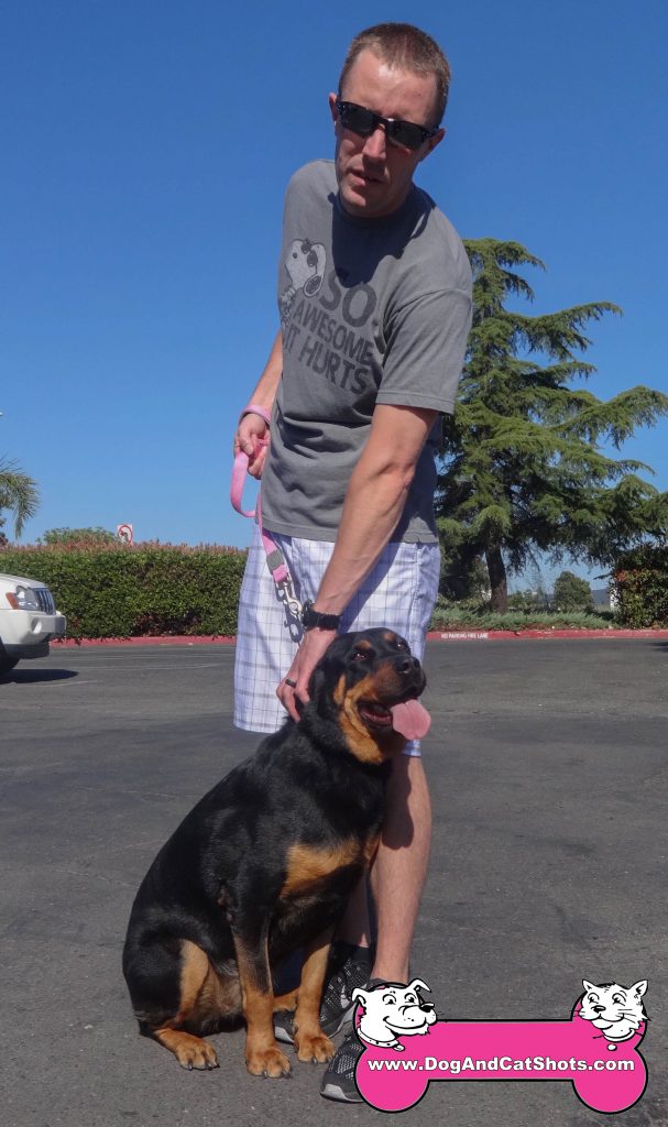 Low Cost Dog and Cat Shots in Northern California Daisy ...