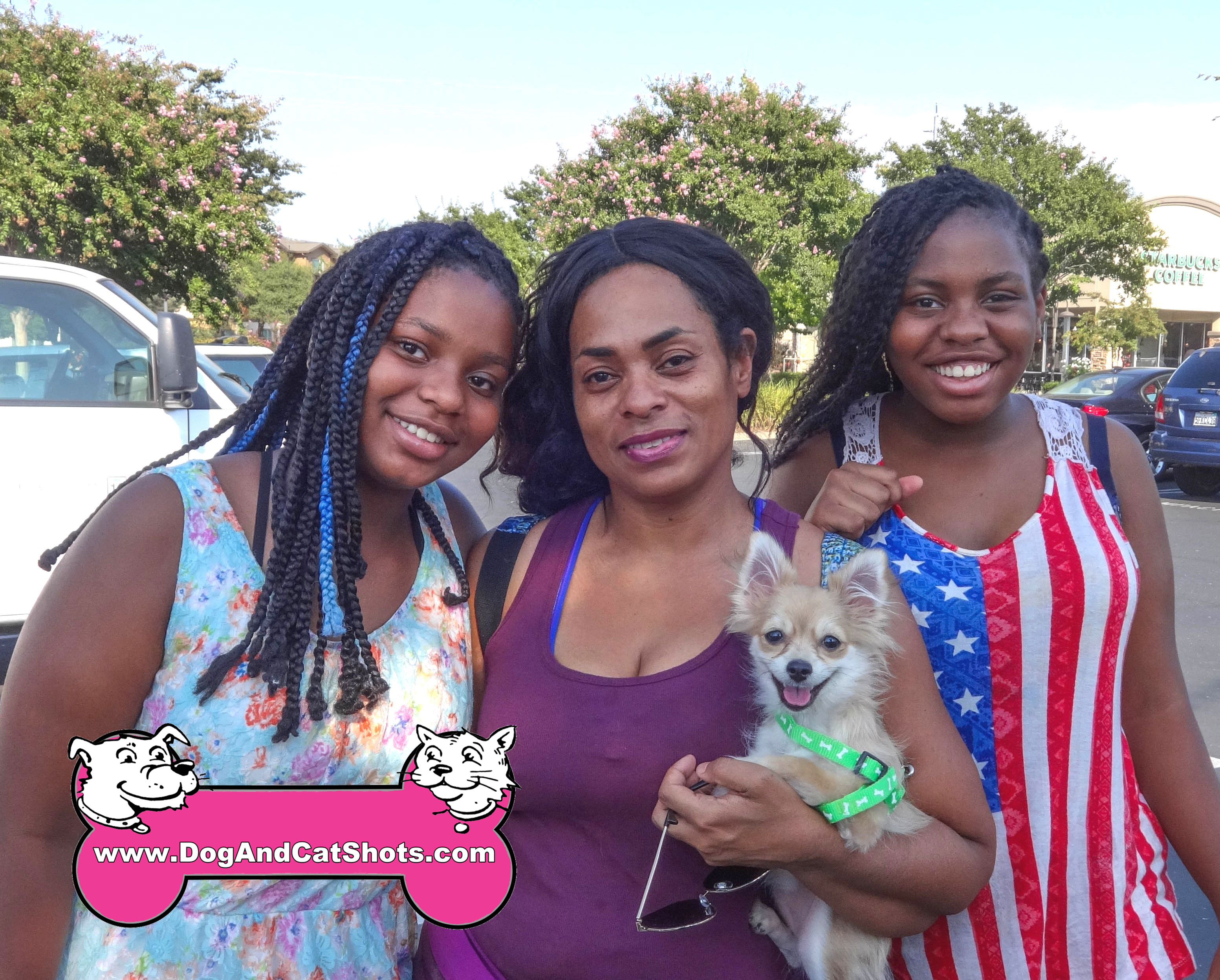 pomeranian shih tzu mix cost low cost and cat in northern california babygirl the shih tzu pomeranian pup pomeranian shih tzu mix cost low cost and cat in northern california babygirl the shih tzu pomeranian pup