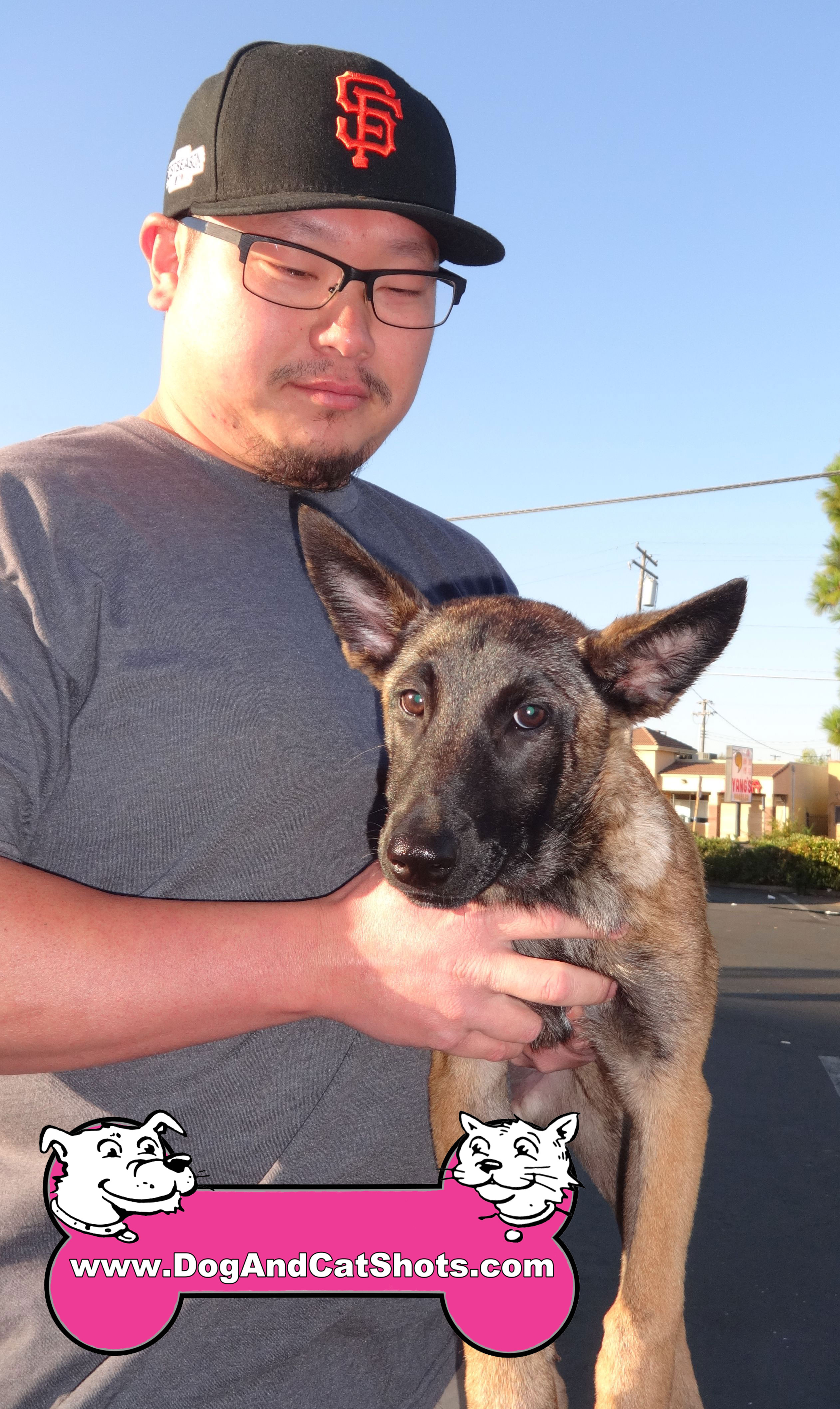 Northern California Hunter Training Class With Dogs Northern California Hunter Training Class With Dogs