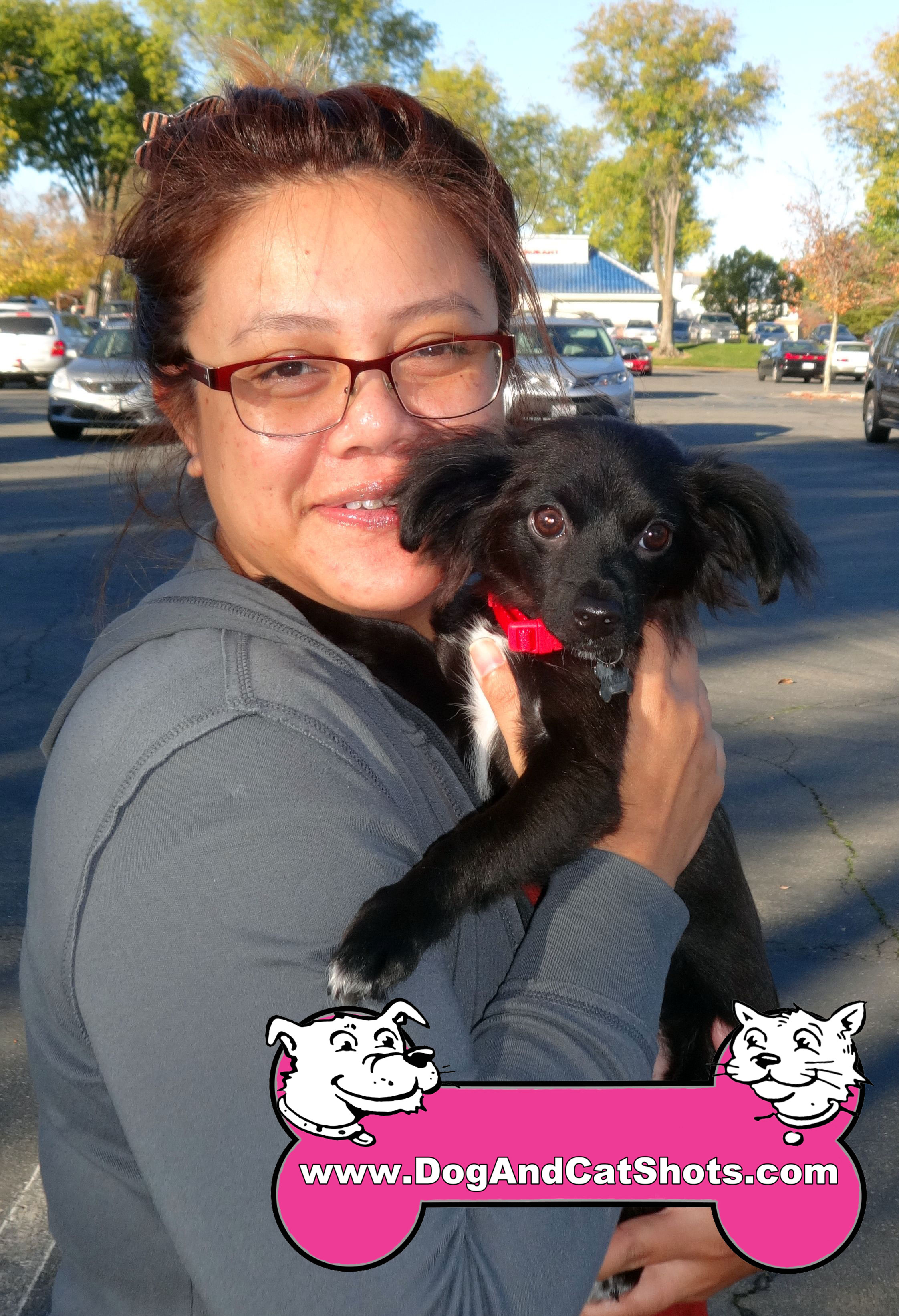 Low Cost Dog And Cat Shots In Northern California 22 Fair Oaks