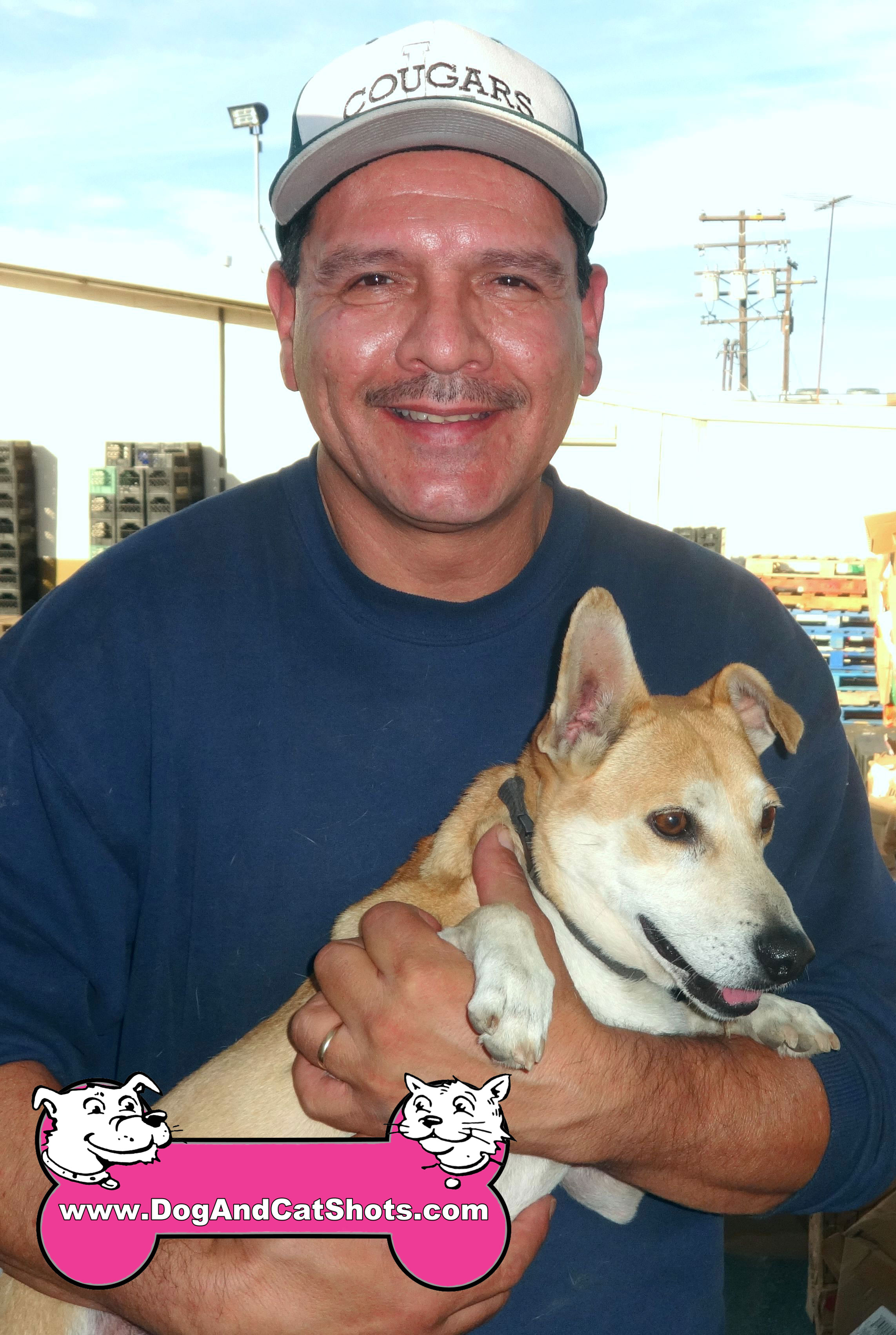 corgi puppies northern california low cost and cat in northern california corgi archives low cost and corgi puppies northern california low cost and cat in northern california corgi archives low cost and