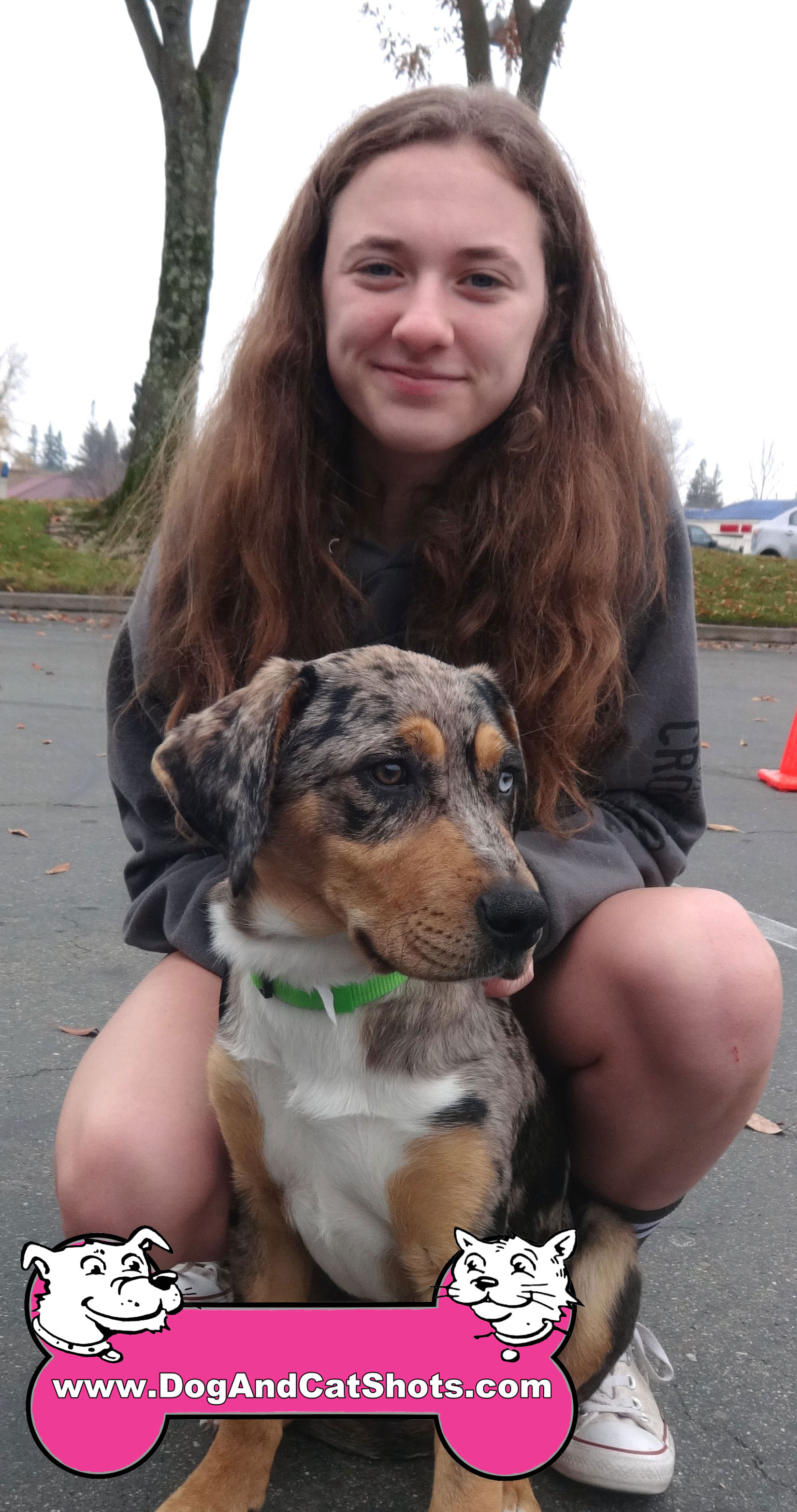 Can I Take My Dog Into Chipotle