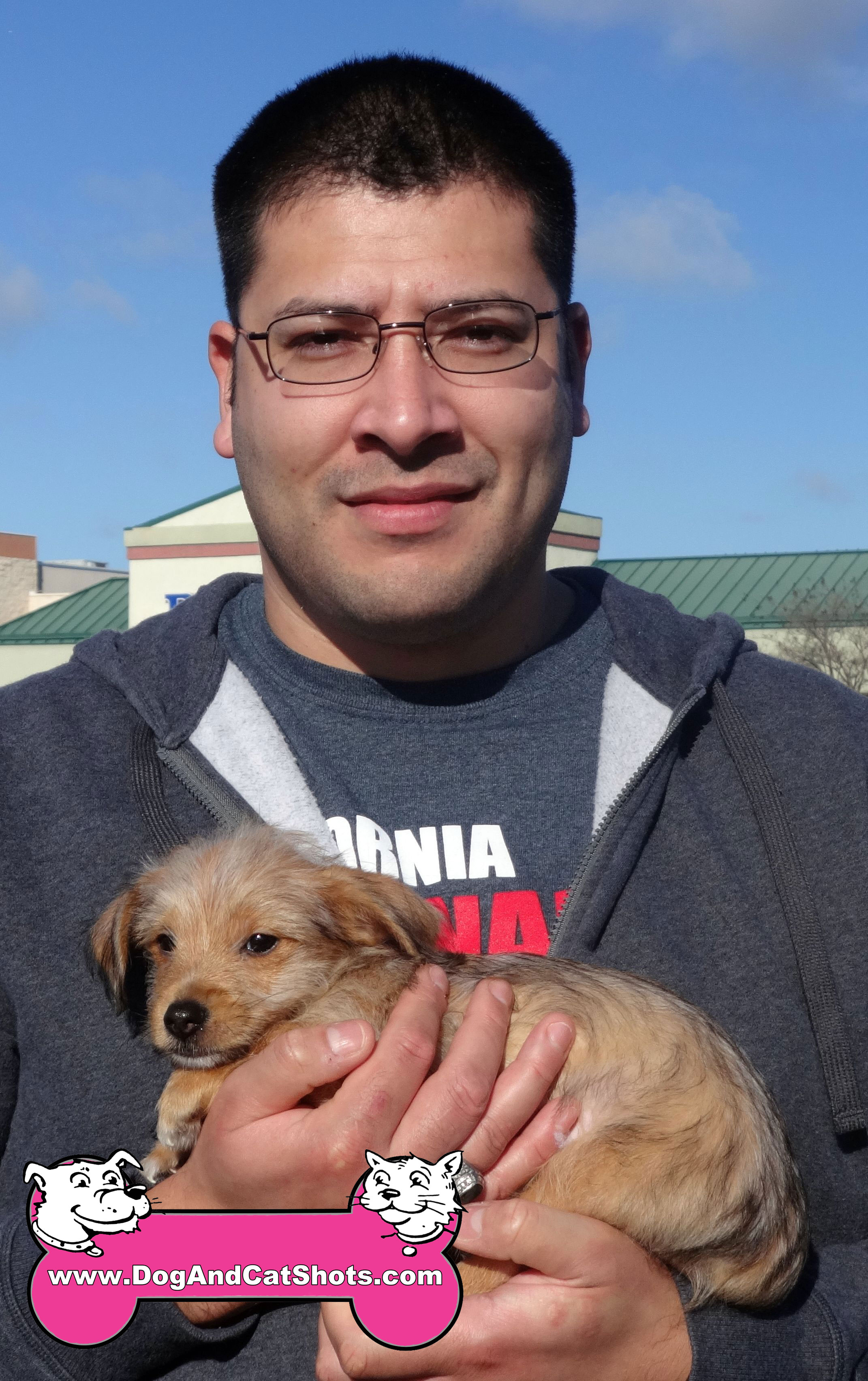 Dog Grooming Roseville California Dog Grooming Roseville California