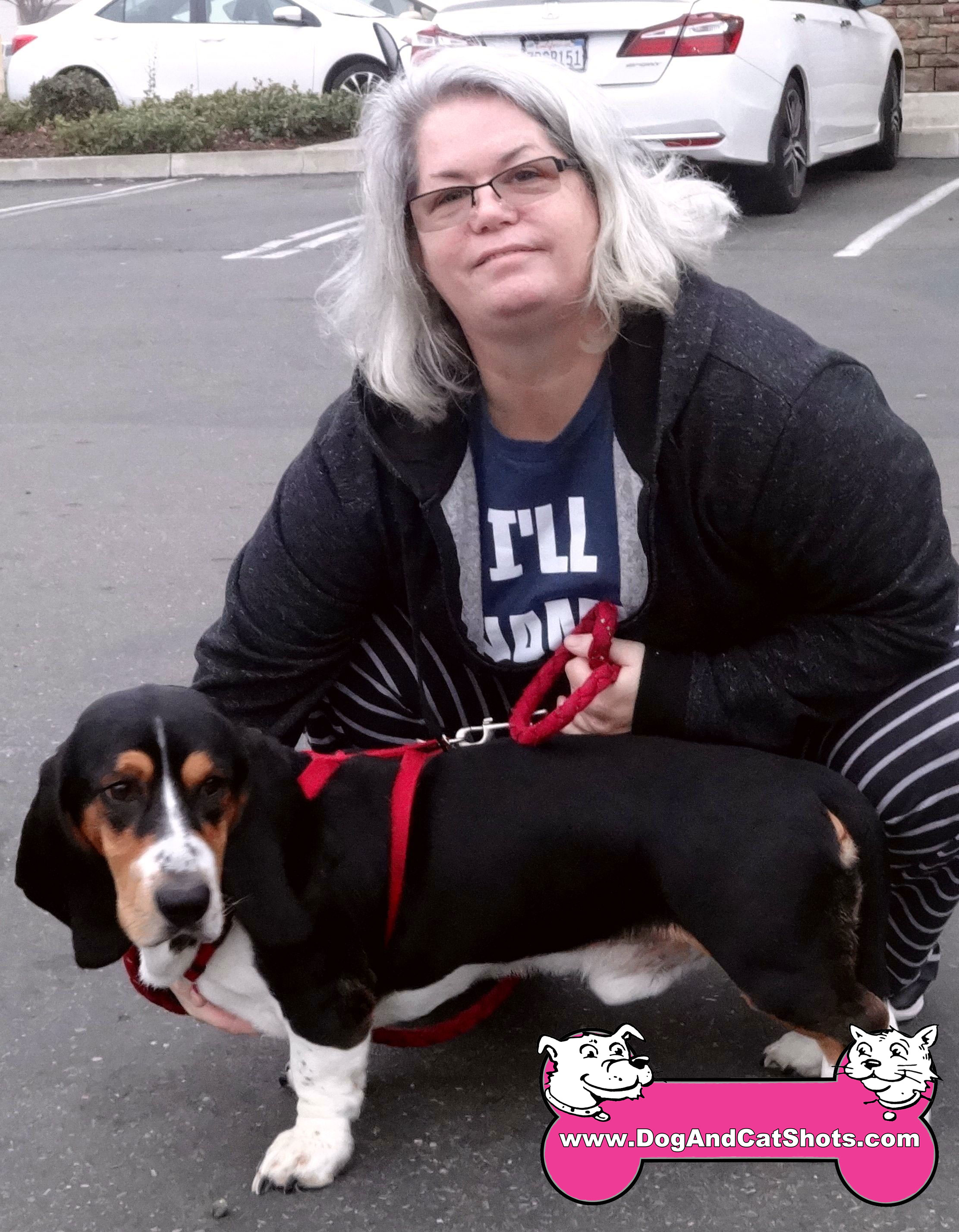 Low Cost Dog and Cat Shots in Northern California Basset Hound Archives Low Cost Dog and Cat