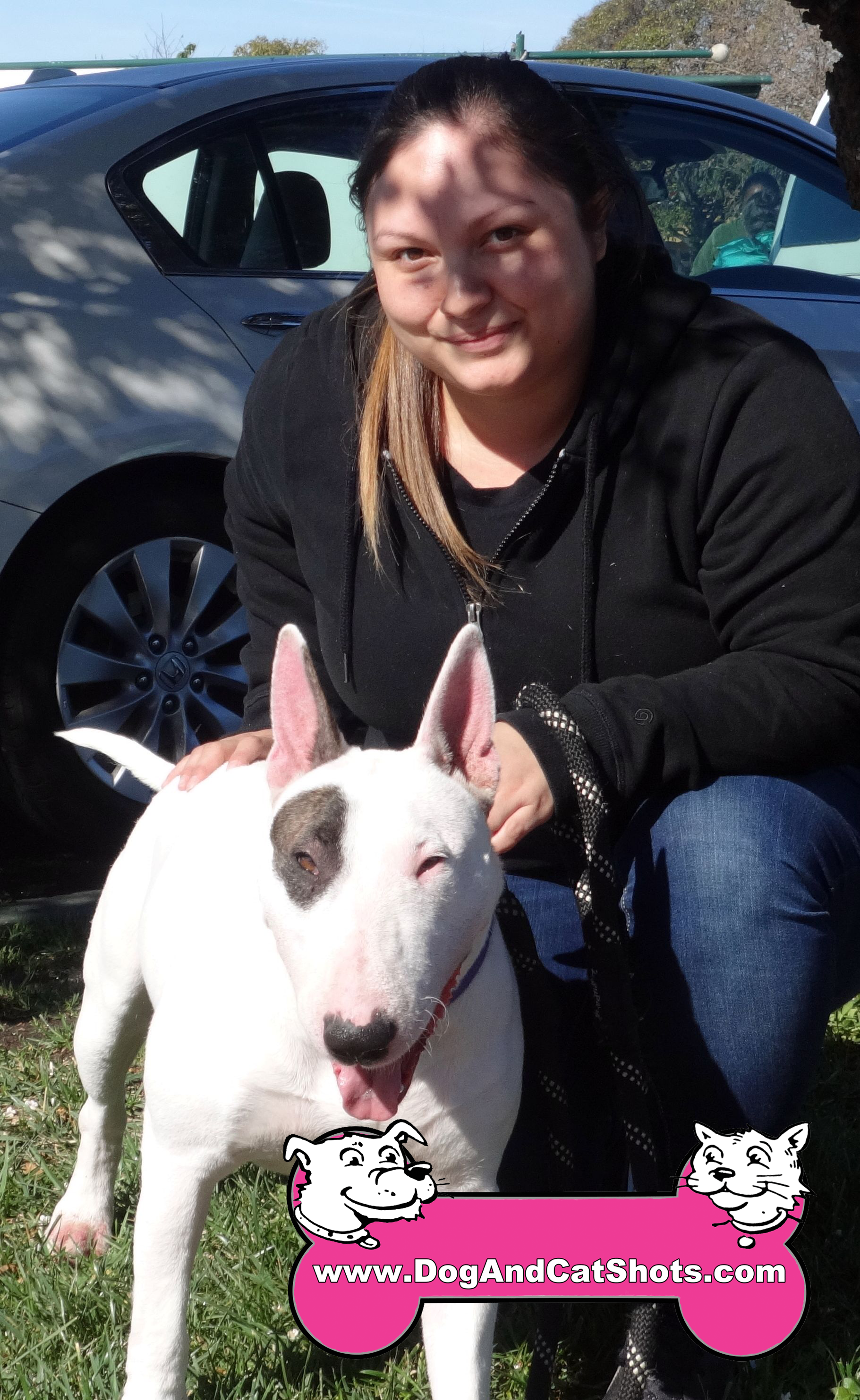 Low Cost Dog and Cat Shots in Northern California Bull Terrier Archives Low Cost Dog and Cat Shots in Northern California Bull Terrier Archives