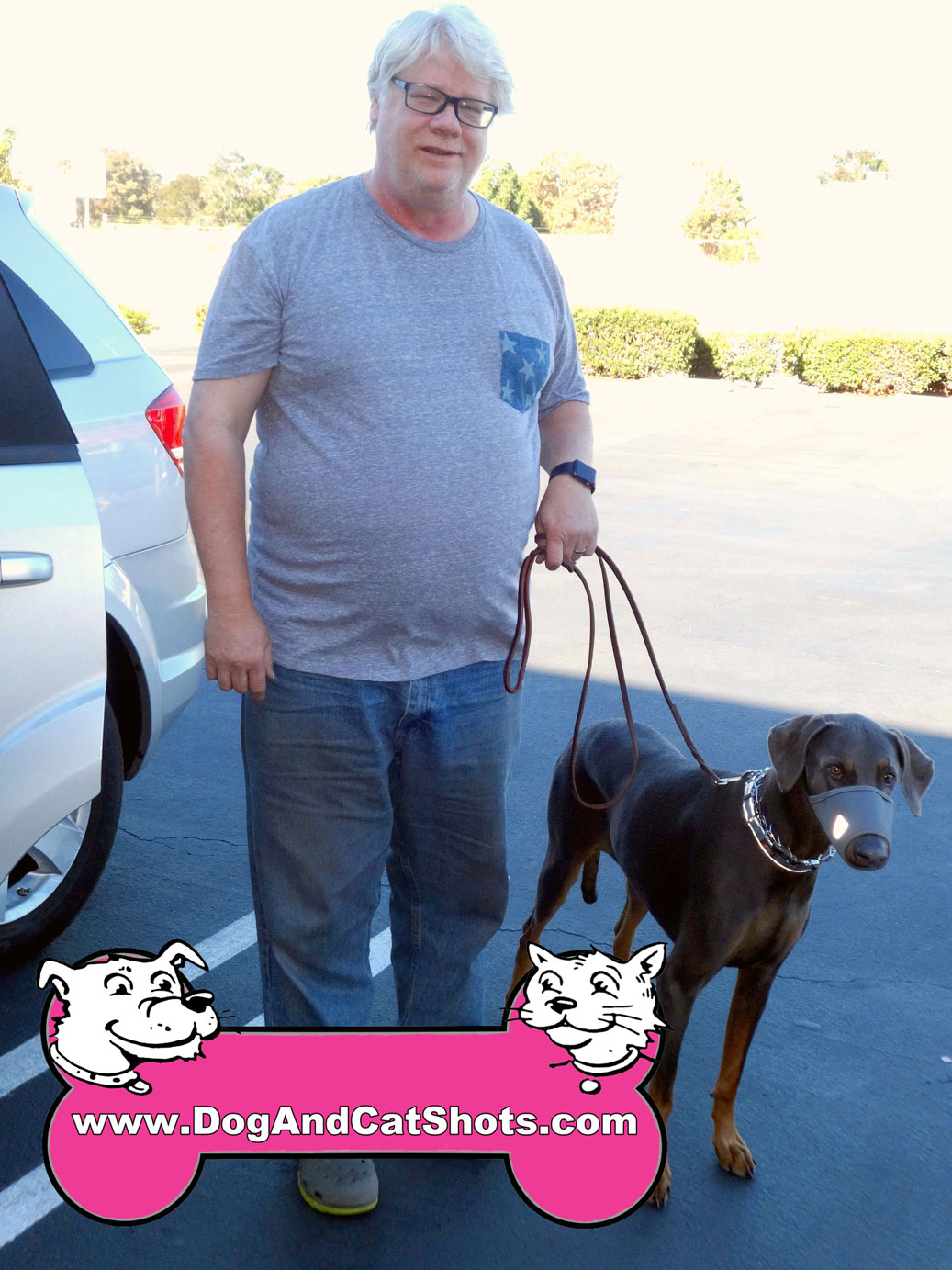 Are Doberman Good Hiking Dogs