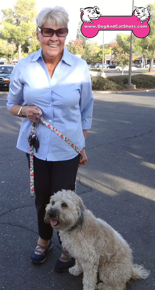 wheaten terrier and cats