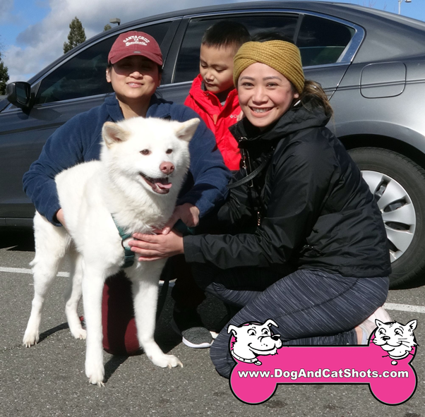 Low Cost Dog and Cat Shots in Northern California Midtown ...