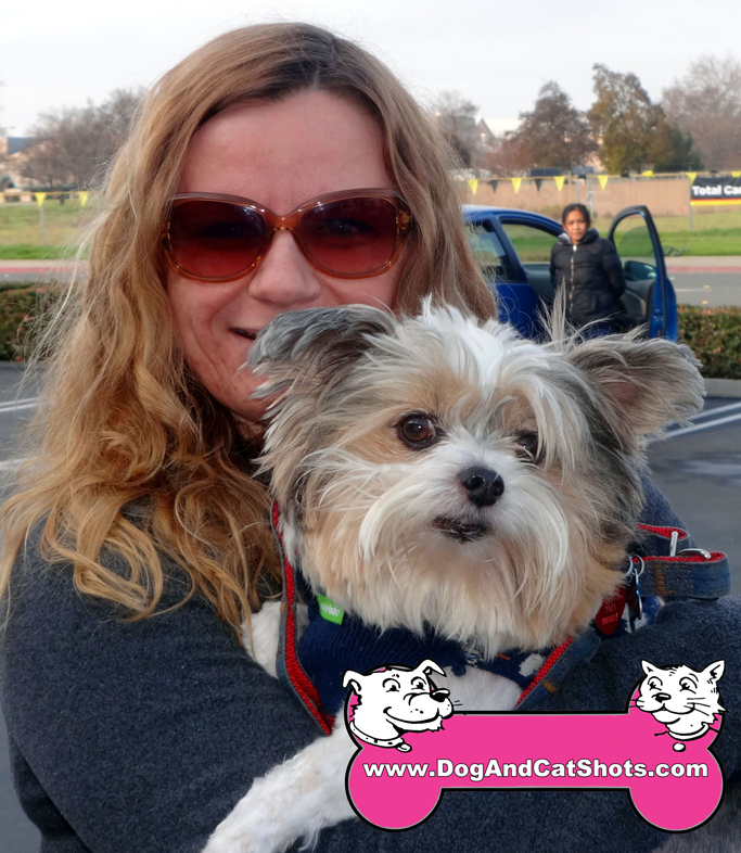 Low Cost Dog and Cat Shots in Northern California Bothe ...