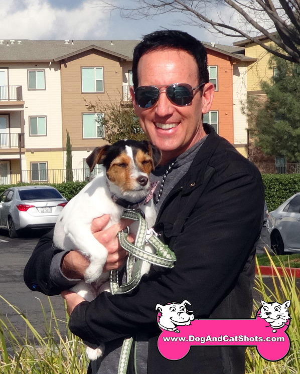Low Cost Dog And Cat Shots In Northern California Jack Russell