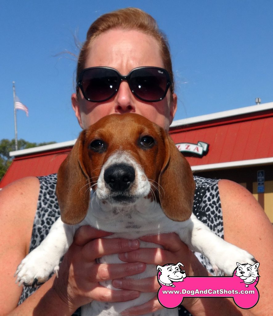 Low Cost Dog and Cat Shots in Northern California At our Fairfield