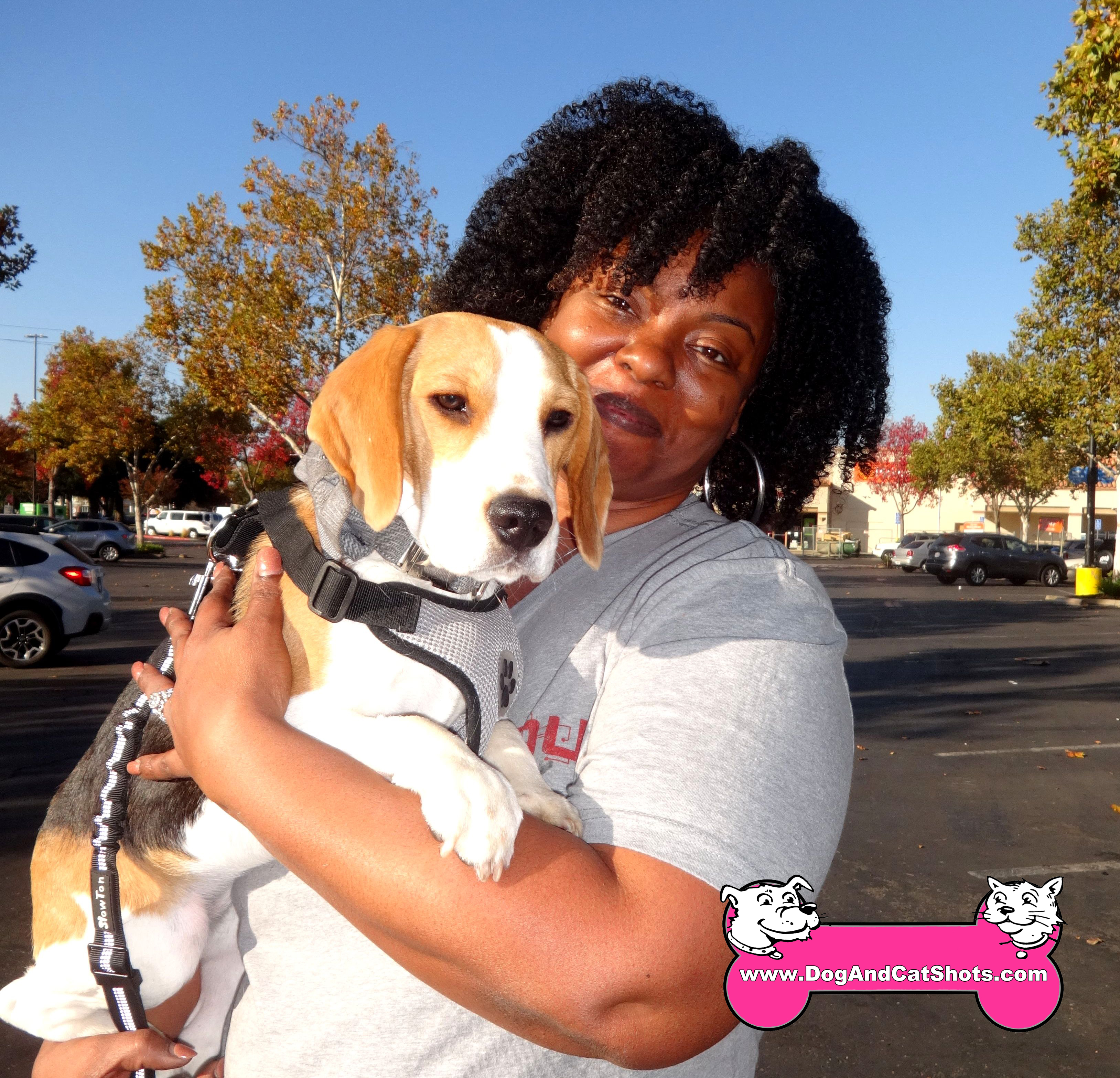 Low Cost Dog and Cat Shots in Northern California Uncategorized