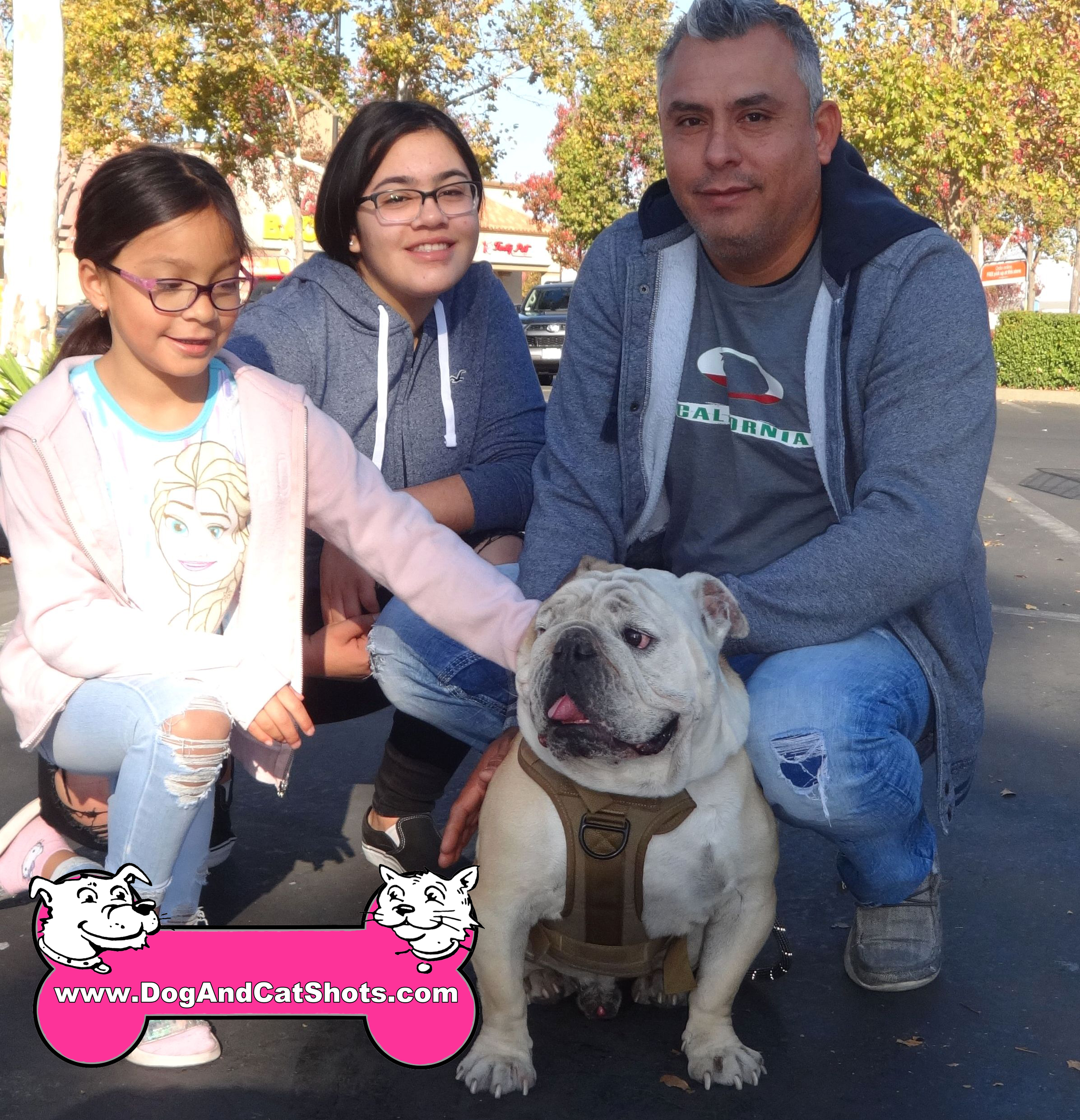 Low Cost Dog and Cat Shots in Northern California Uncategorized