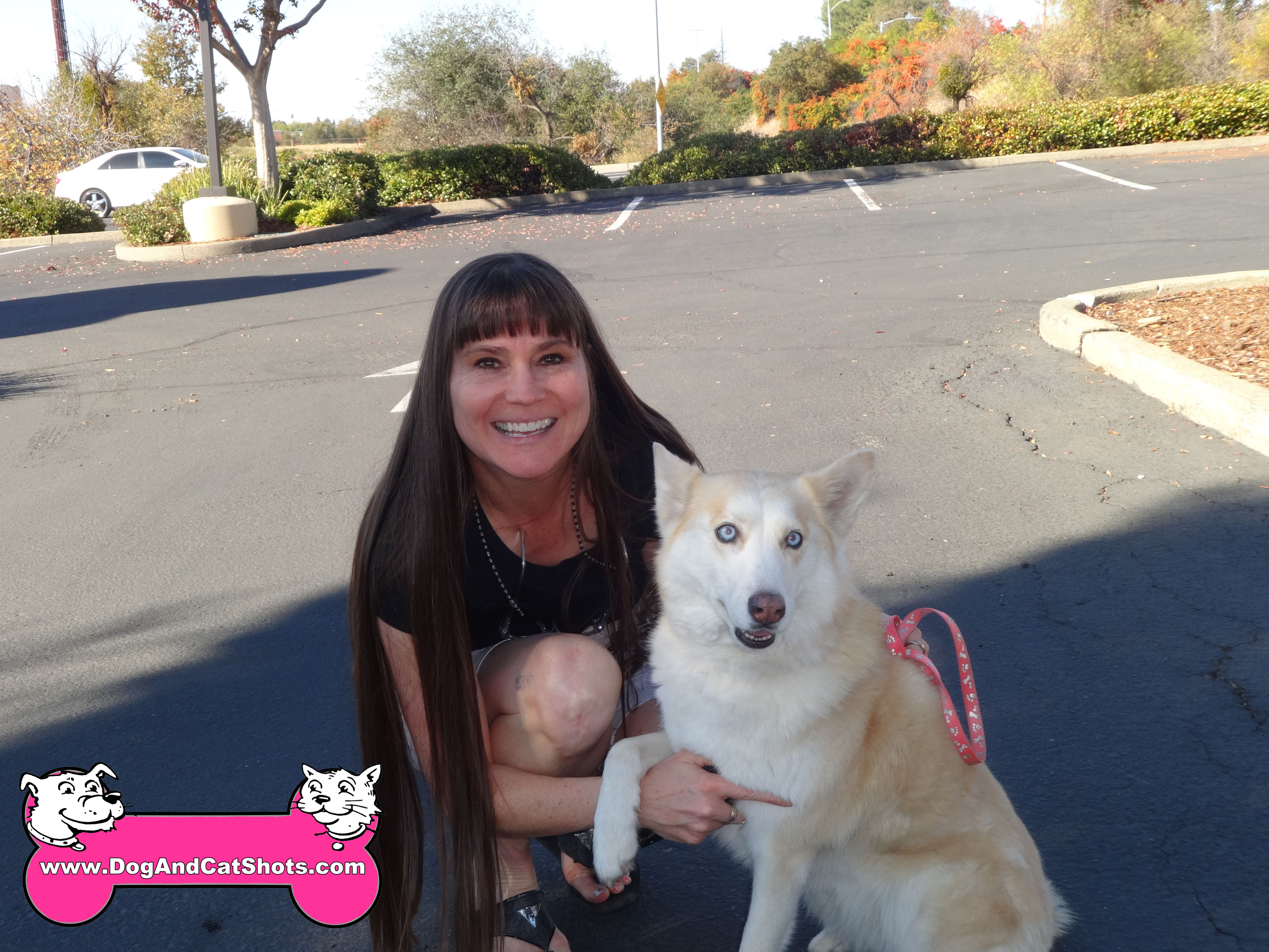 Low Cost Dog and Cat Shots in Northern California Uncategorized 
