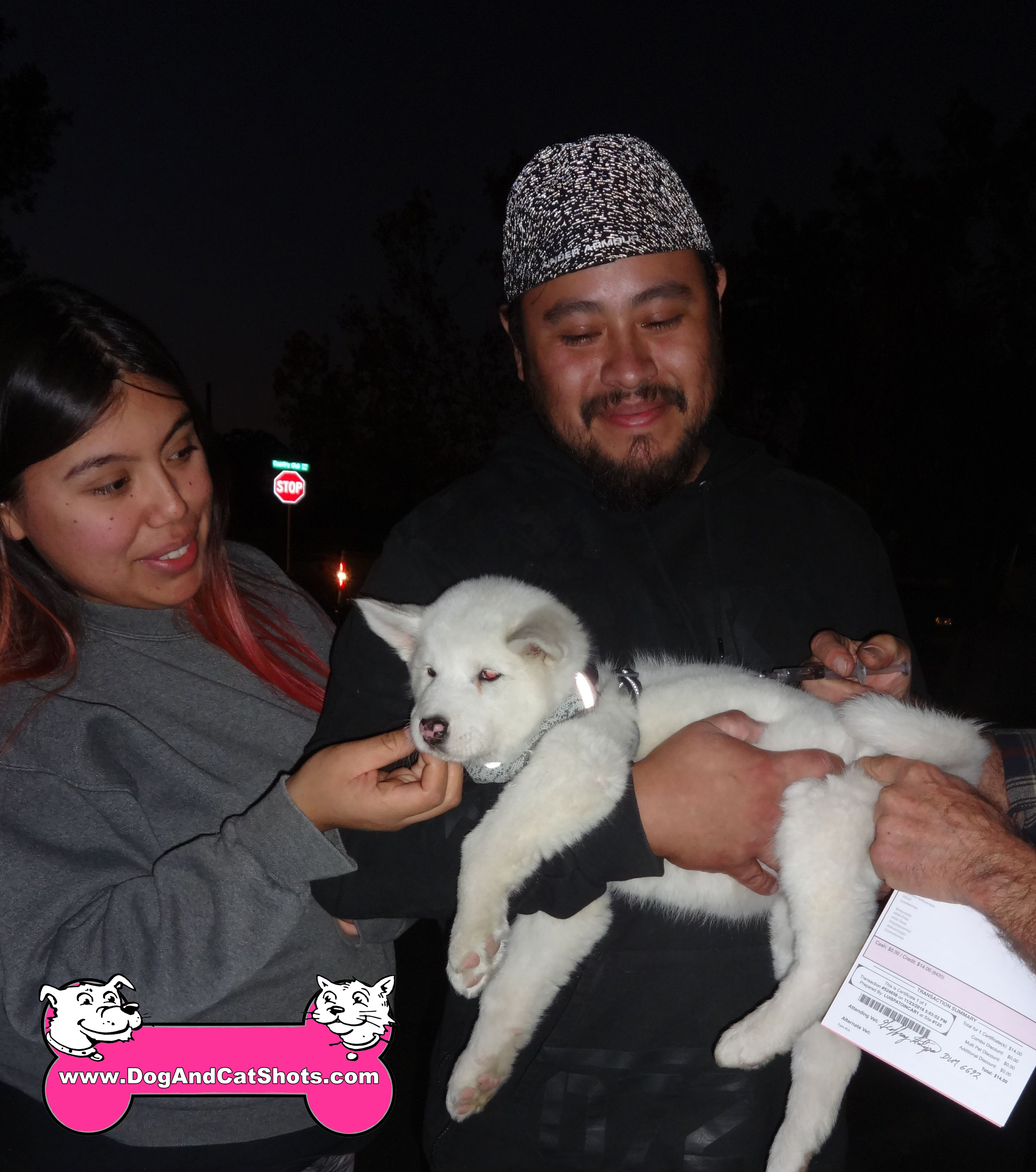 Low Cost Dog and Cat Shots in Northern California Uncategorized 