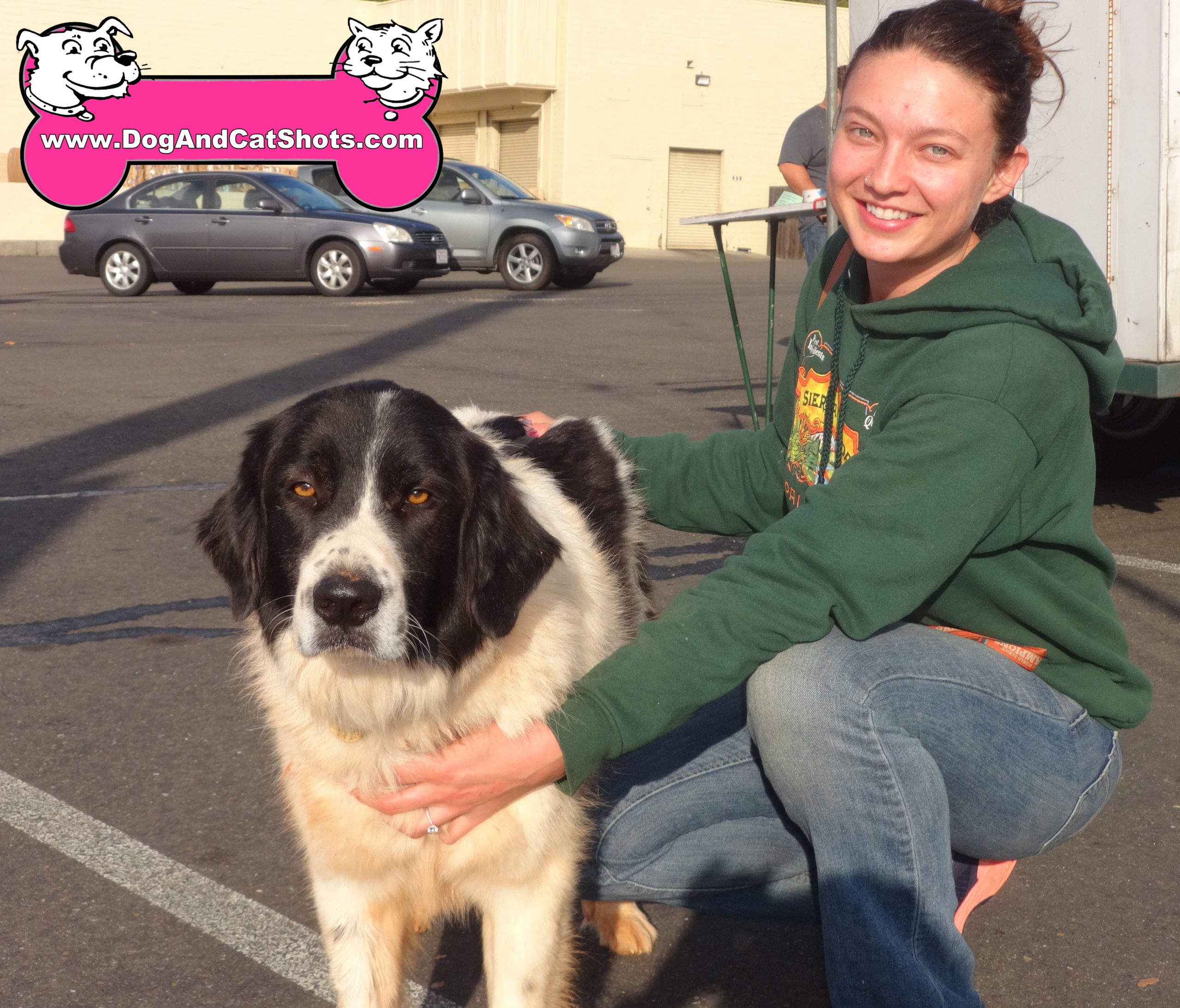 Karakachan great pyrenees shop mix