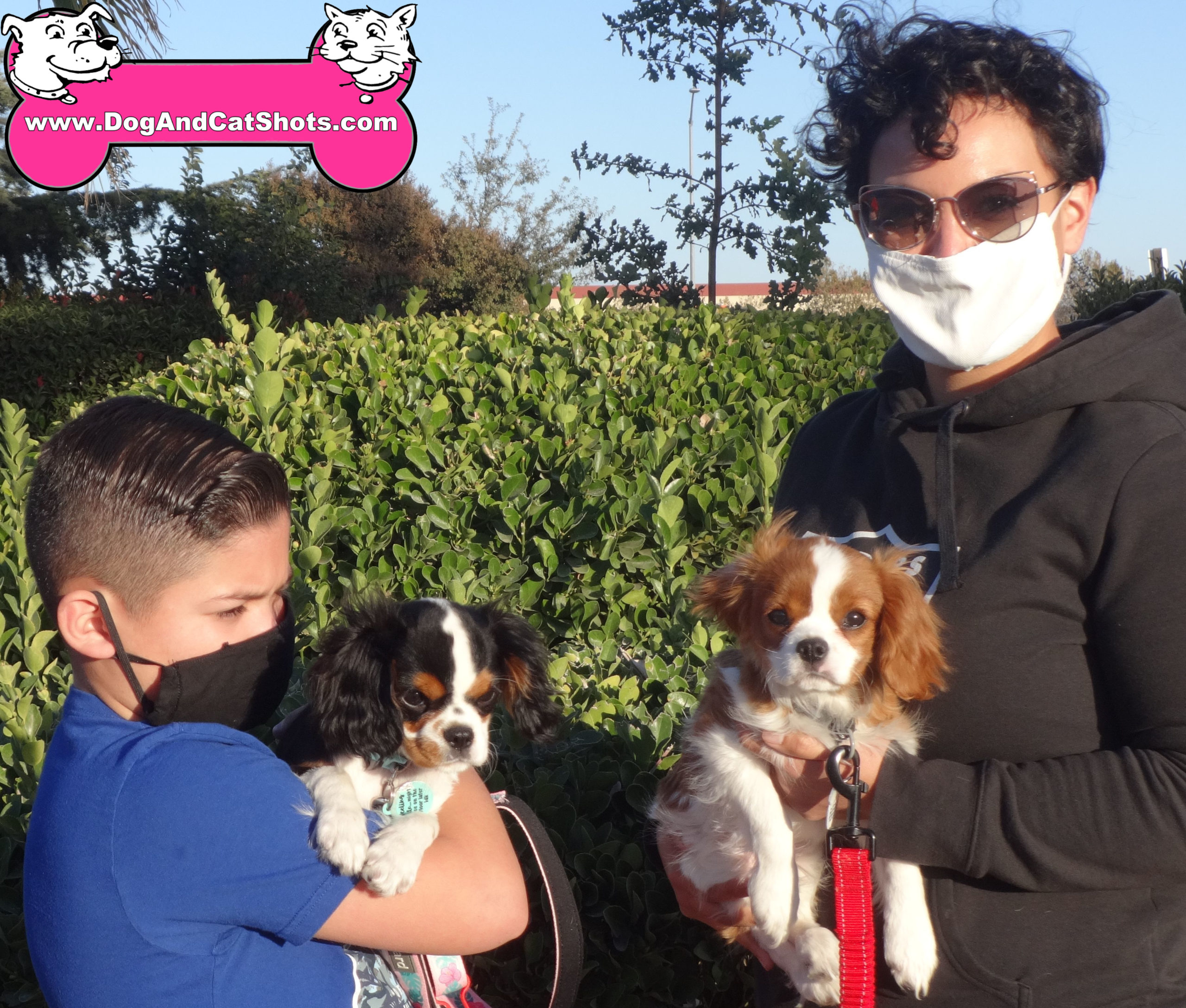 A Perfect Pair of King Charles Spaniels