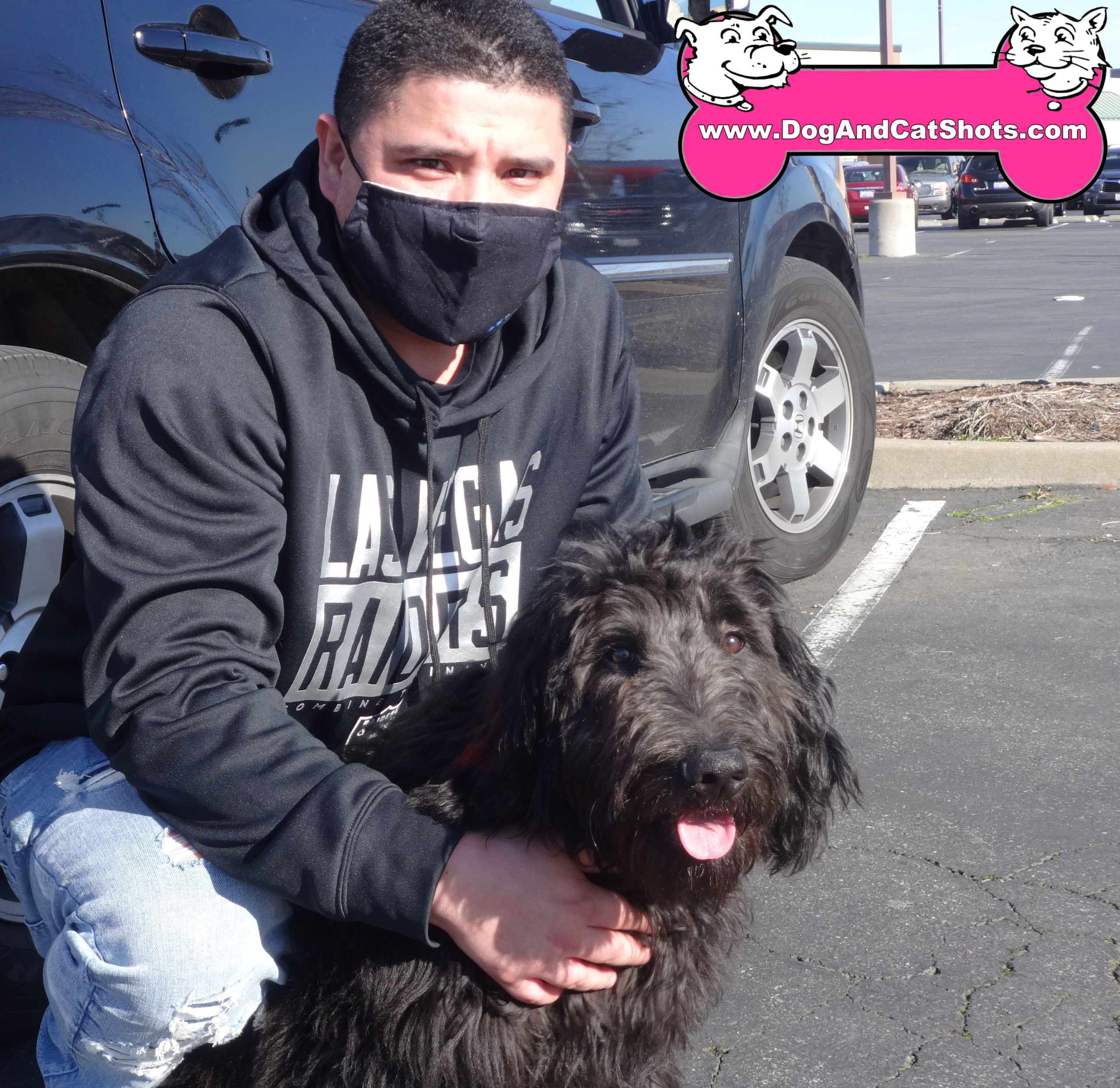 Vader the Labradoodle