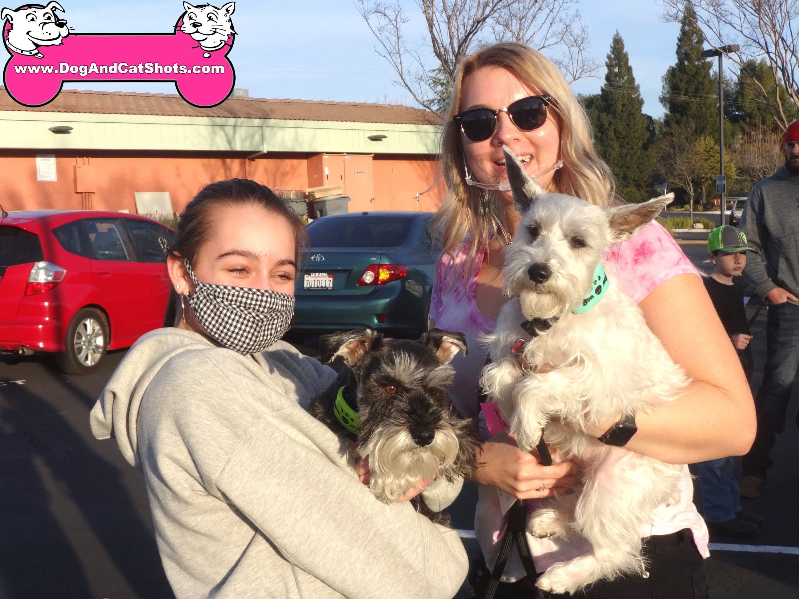 Lando and Leah the Mini Schnauzers