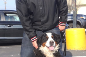 Max the Bernese Mountain Dog