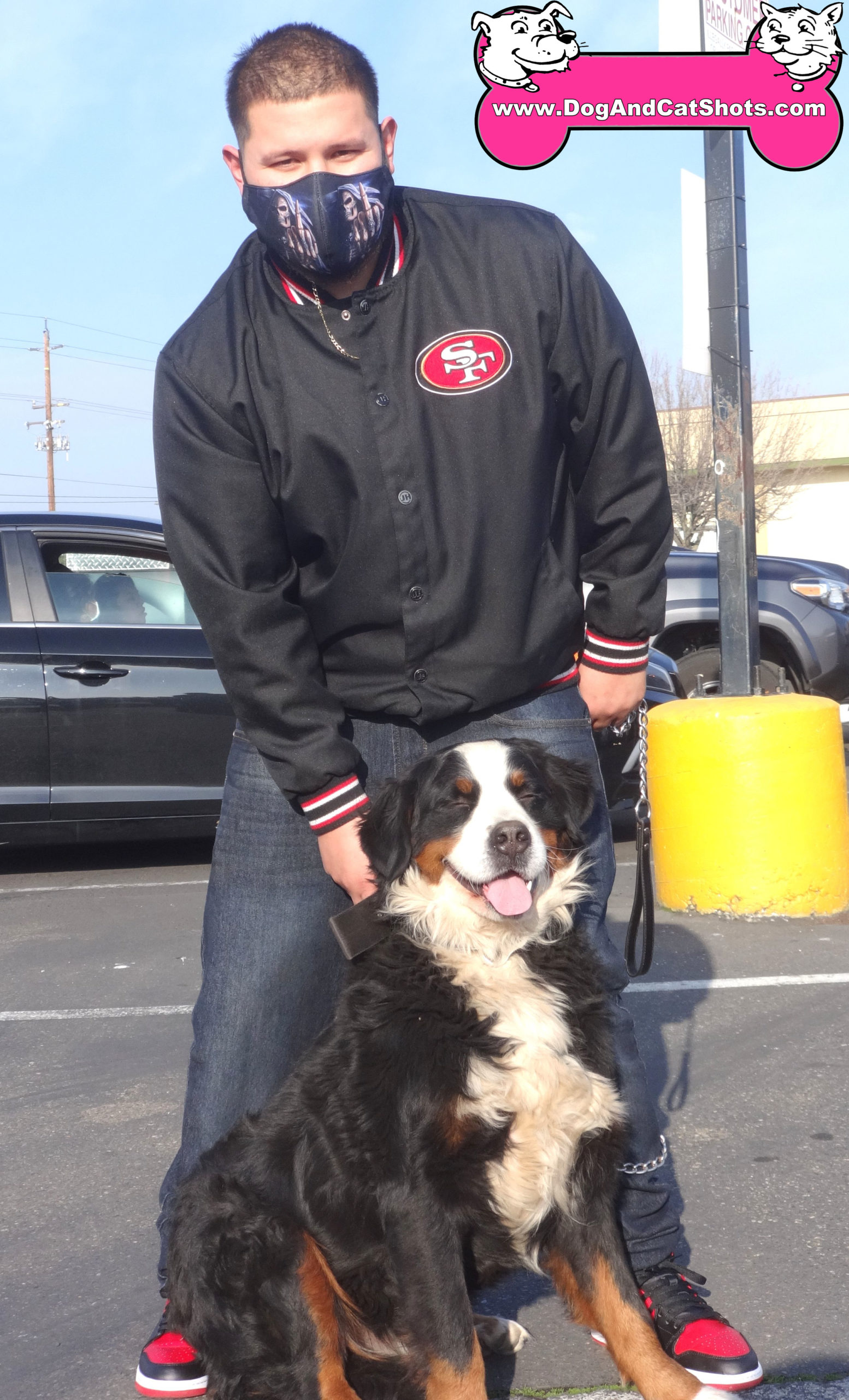 Max the Bernese Mountain Dog