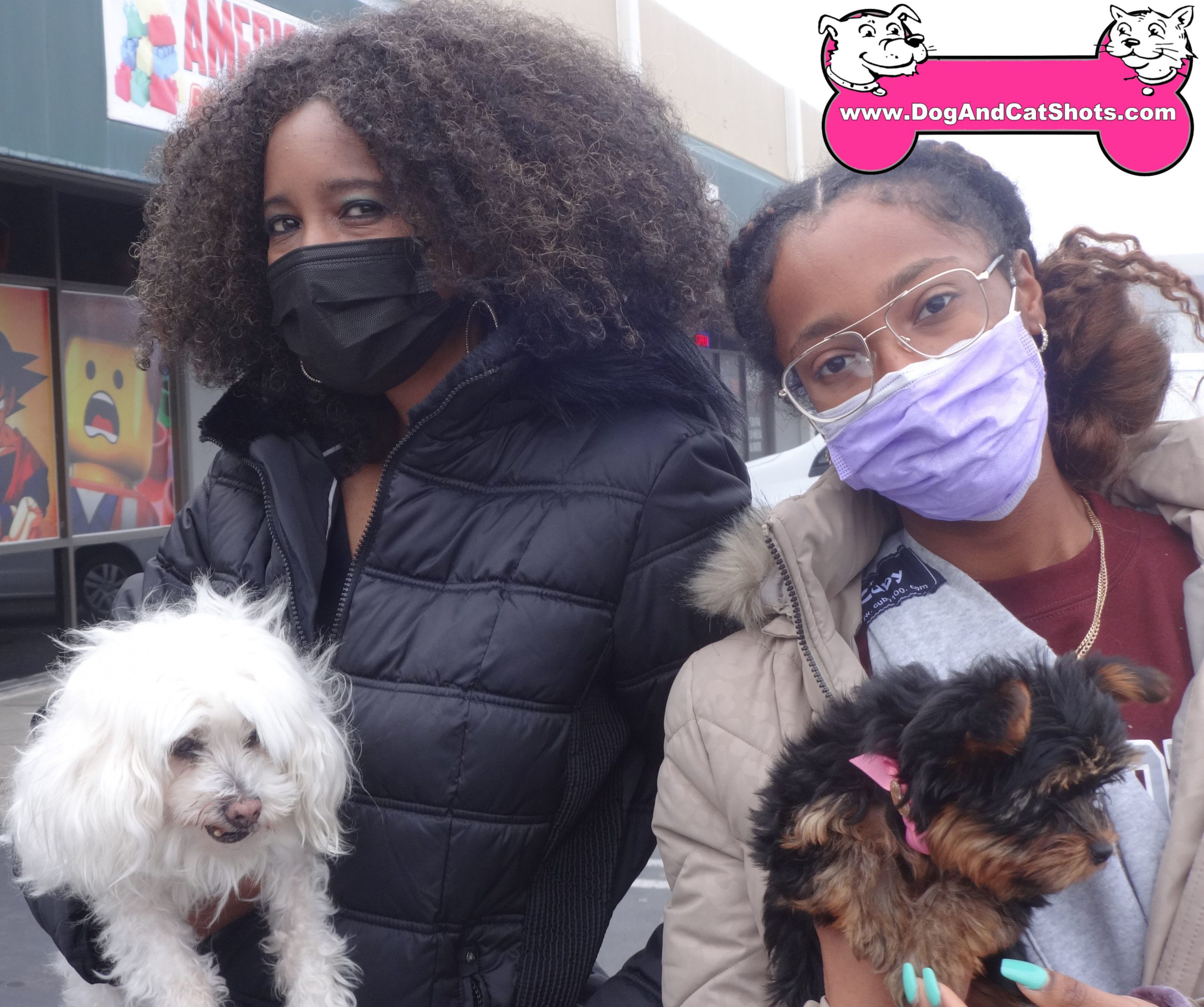 Prince and Treasure at our Antioch Clinic