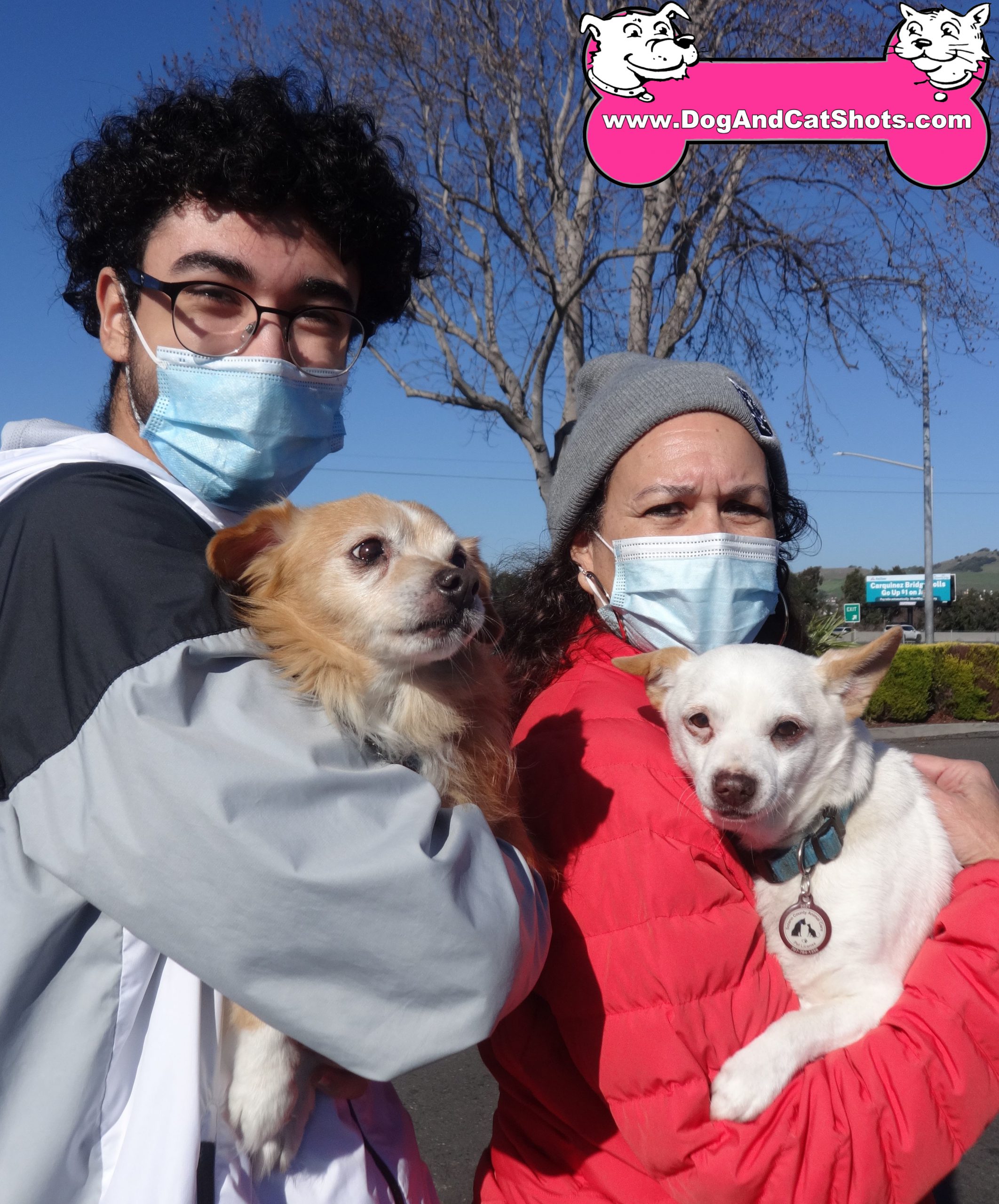 Kahlua and Gucci the Chihuahuas