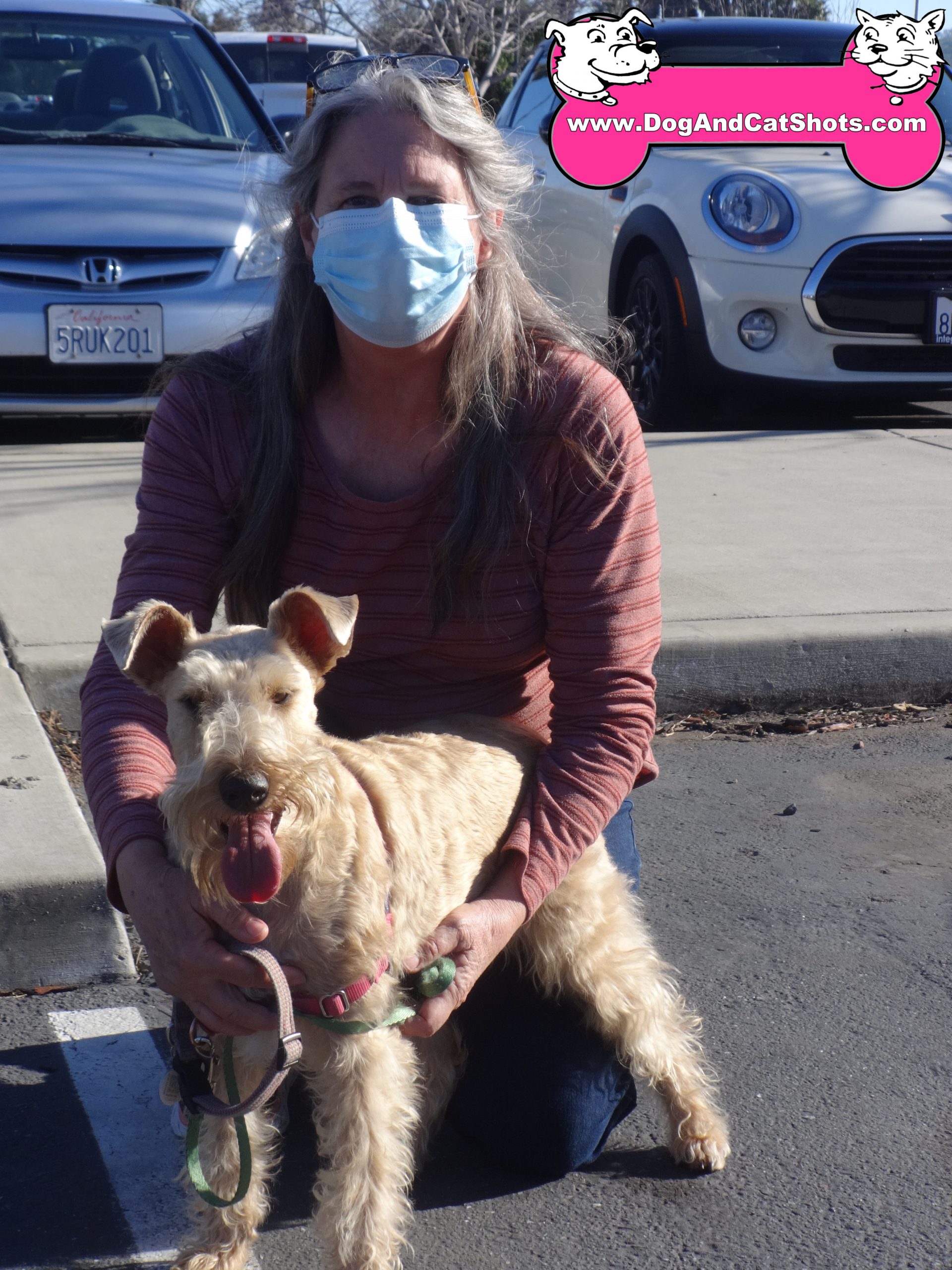 Madigan the Terrier at our Vacaville Clinic